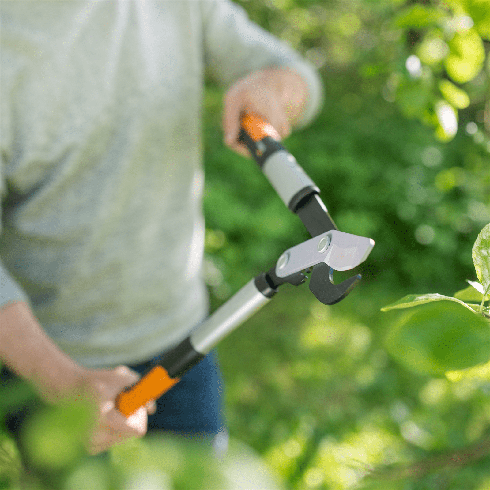 bunnings-6ab4758f7ee5b