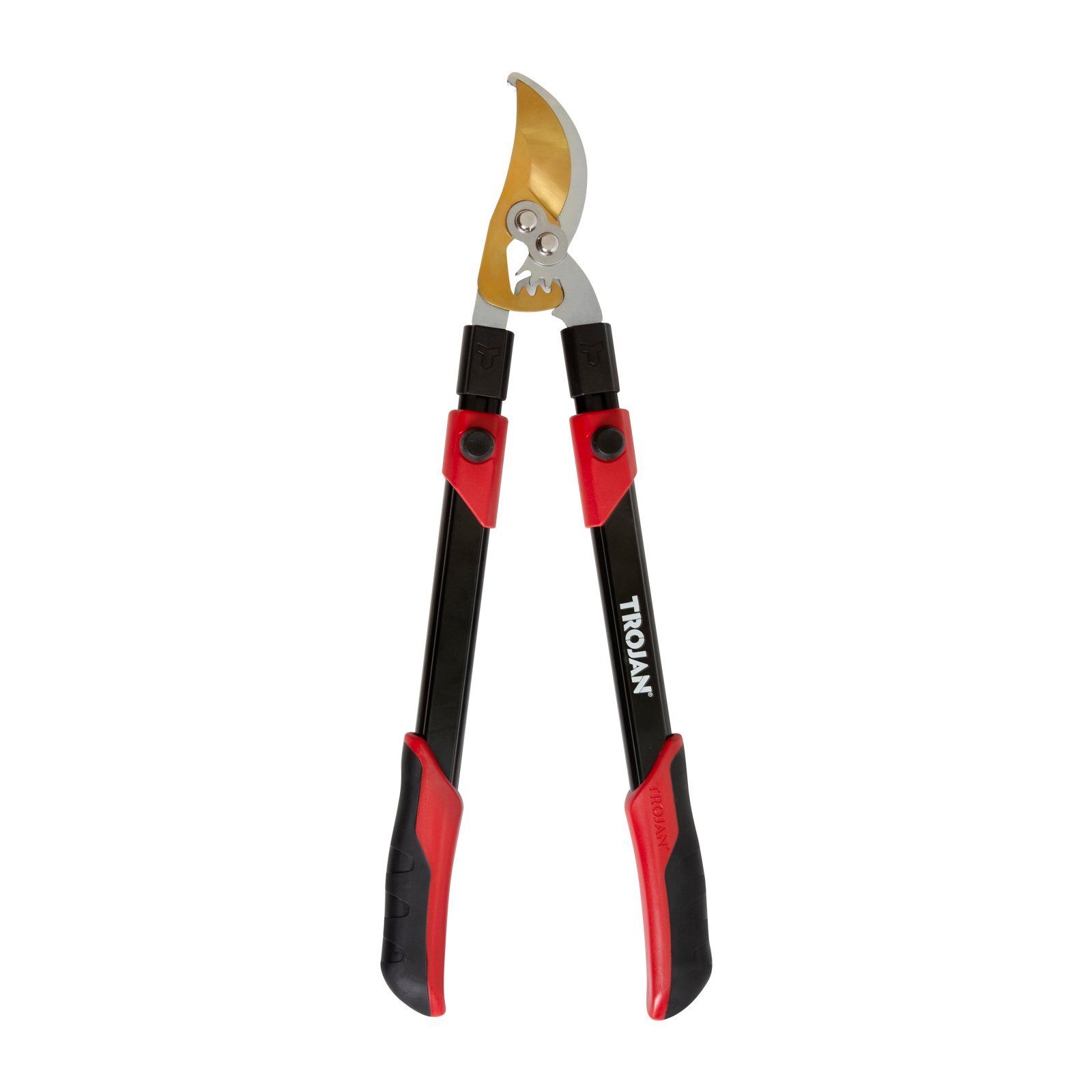 bunnings-6ab476f18846d
