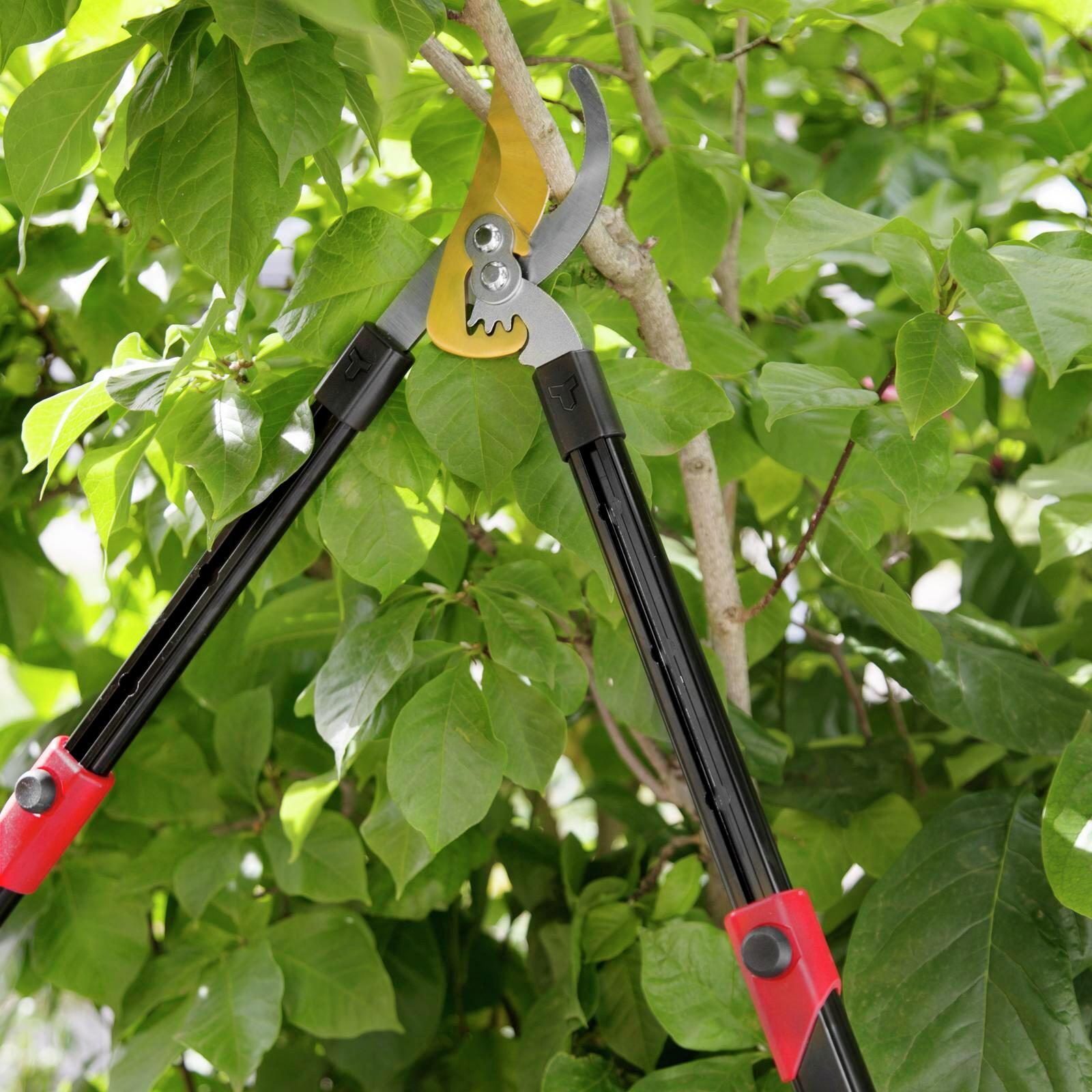 bunnings-6ab476f30f5cc