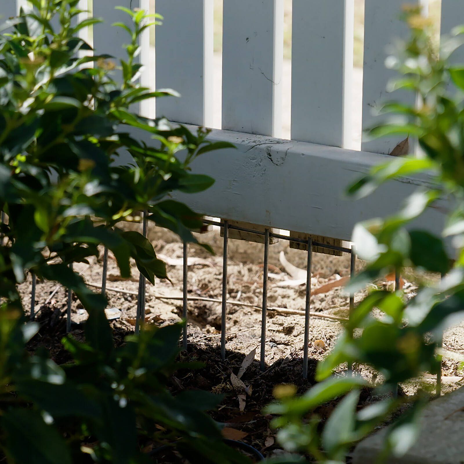 bunnings-6ab47f186b9b8