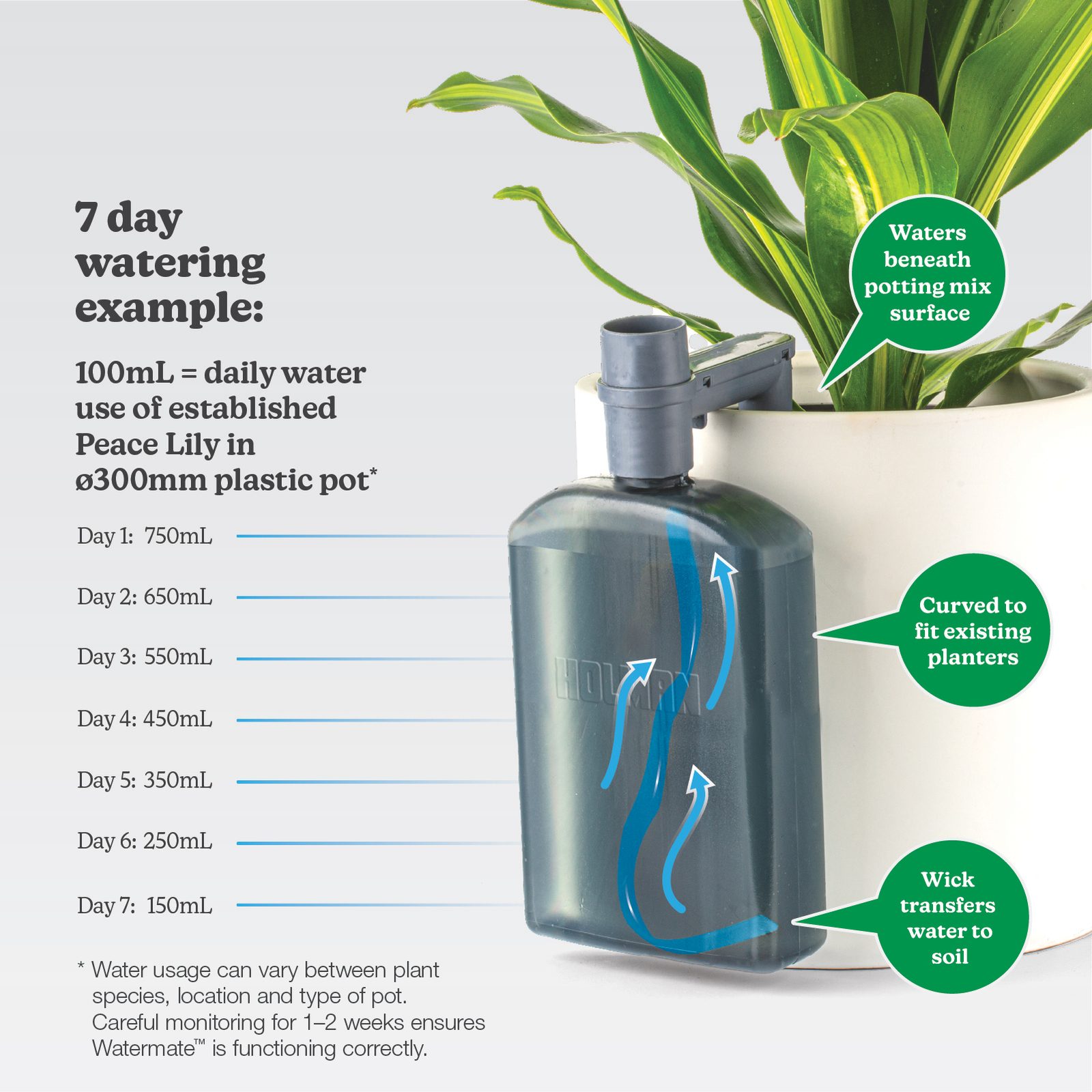 bunnings-6ab4812ac8a60