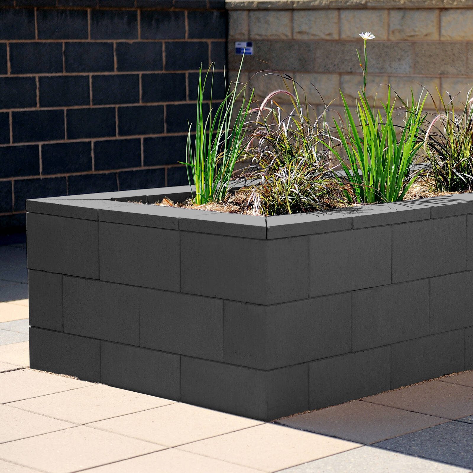 bunnings-6ab4823c84818