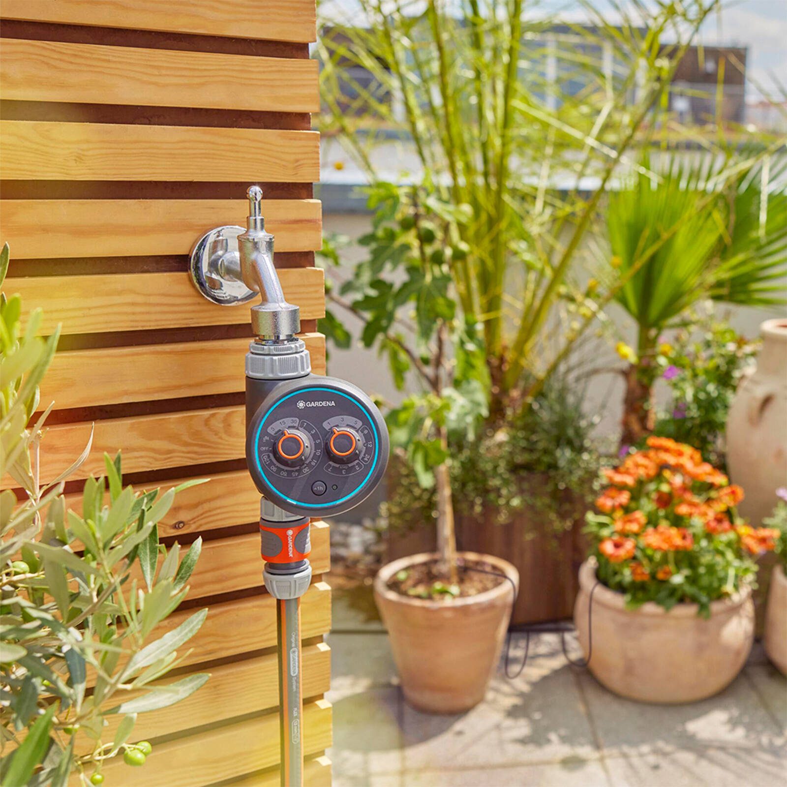 bunnings-6ab485fb0db1c
