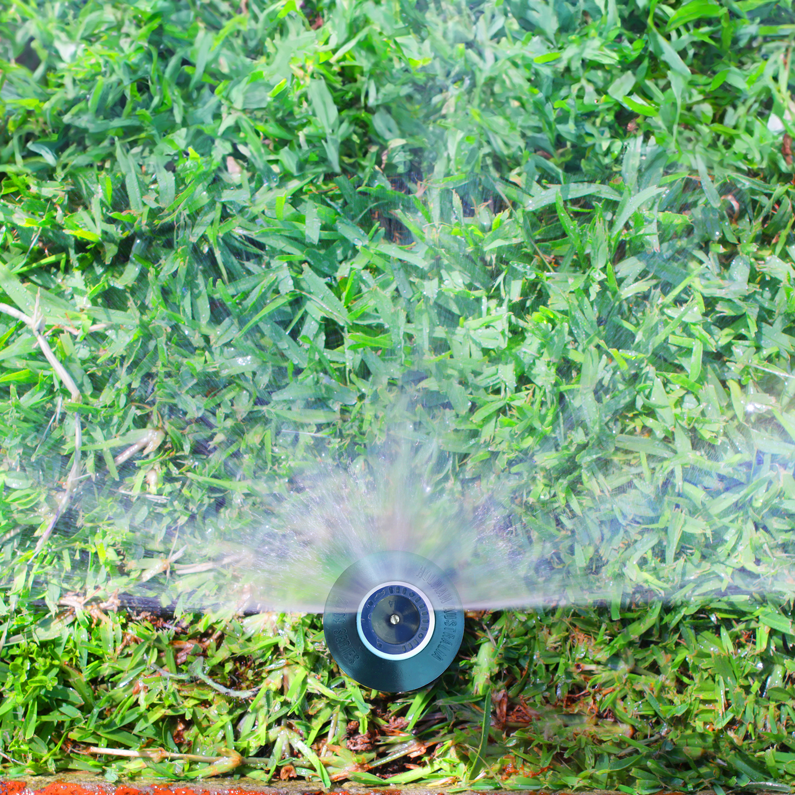 bunnings-6ab48742b7ffc