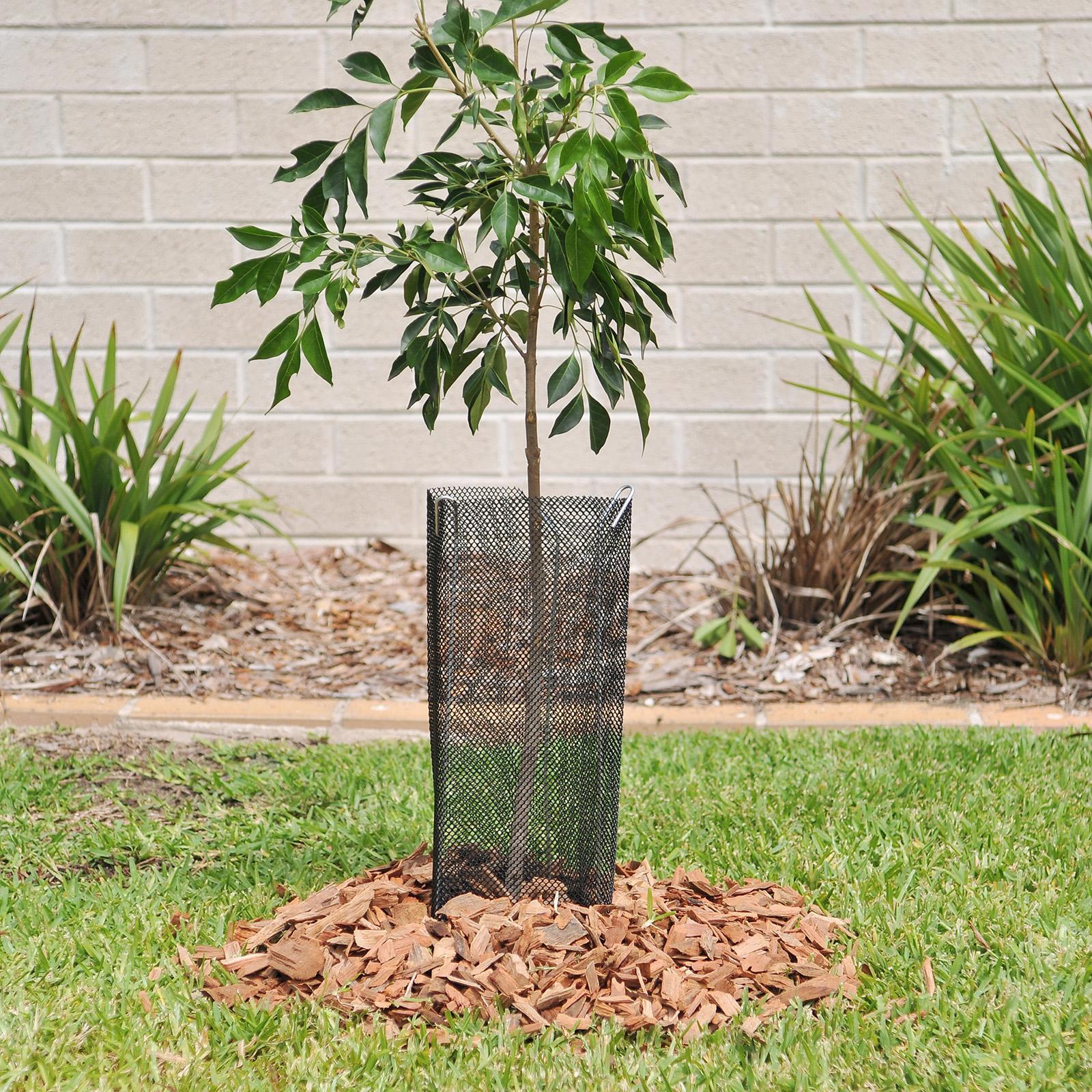 bunnings-6ab487e77306c