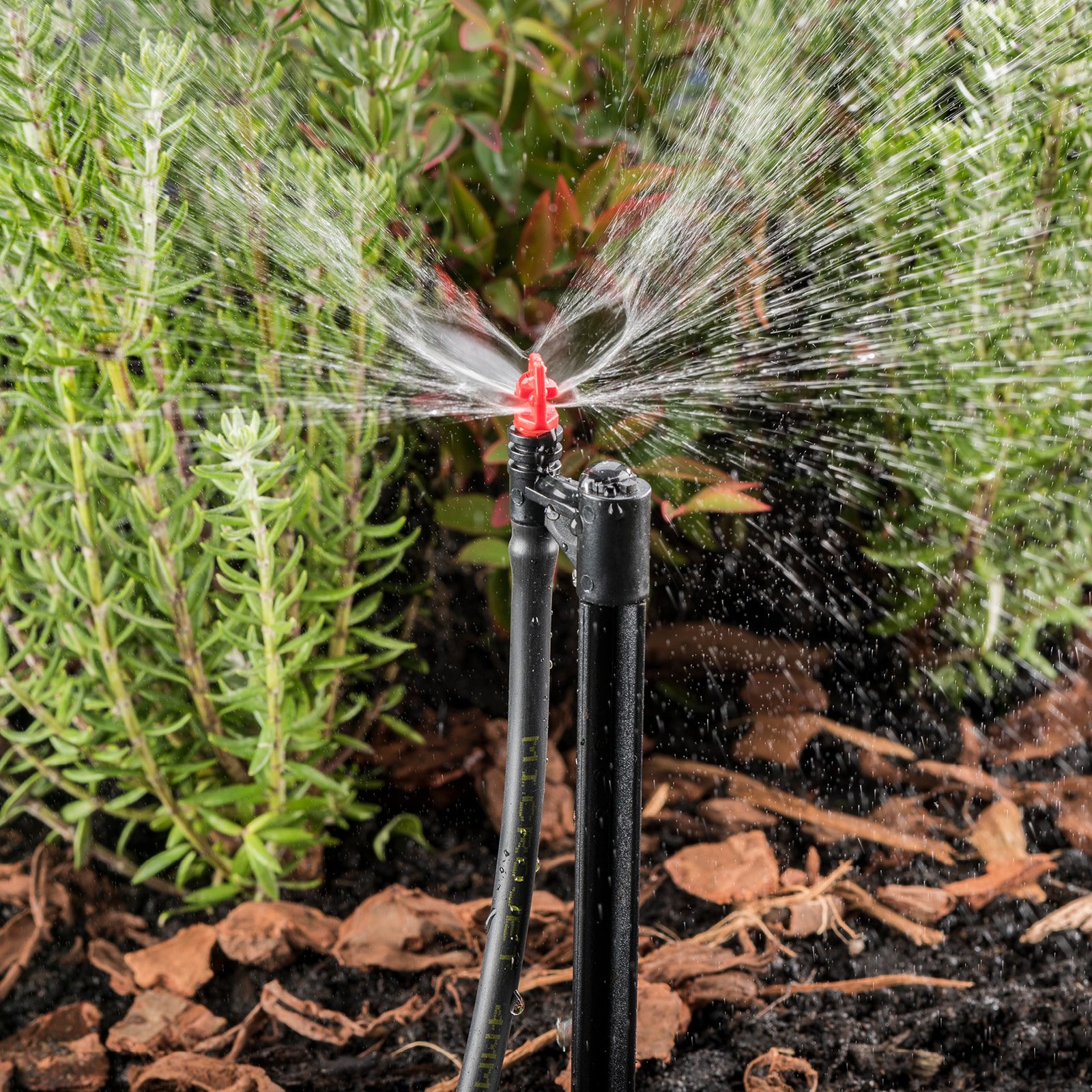 bunnings-6ab48986ab15f