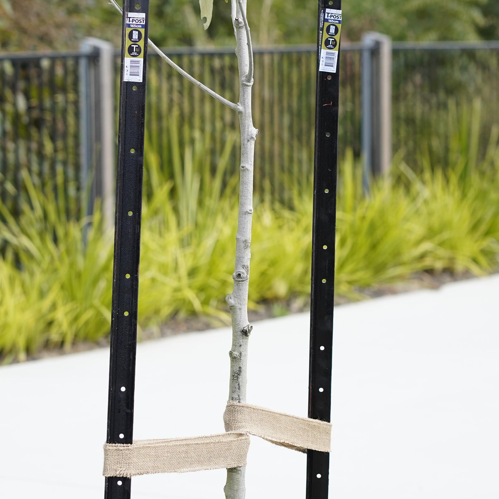 bunnings-6ab48a29b5465