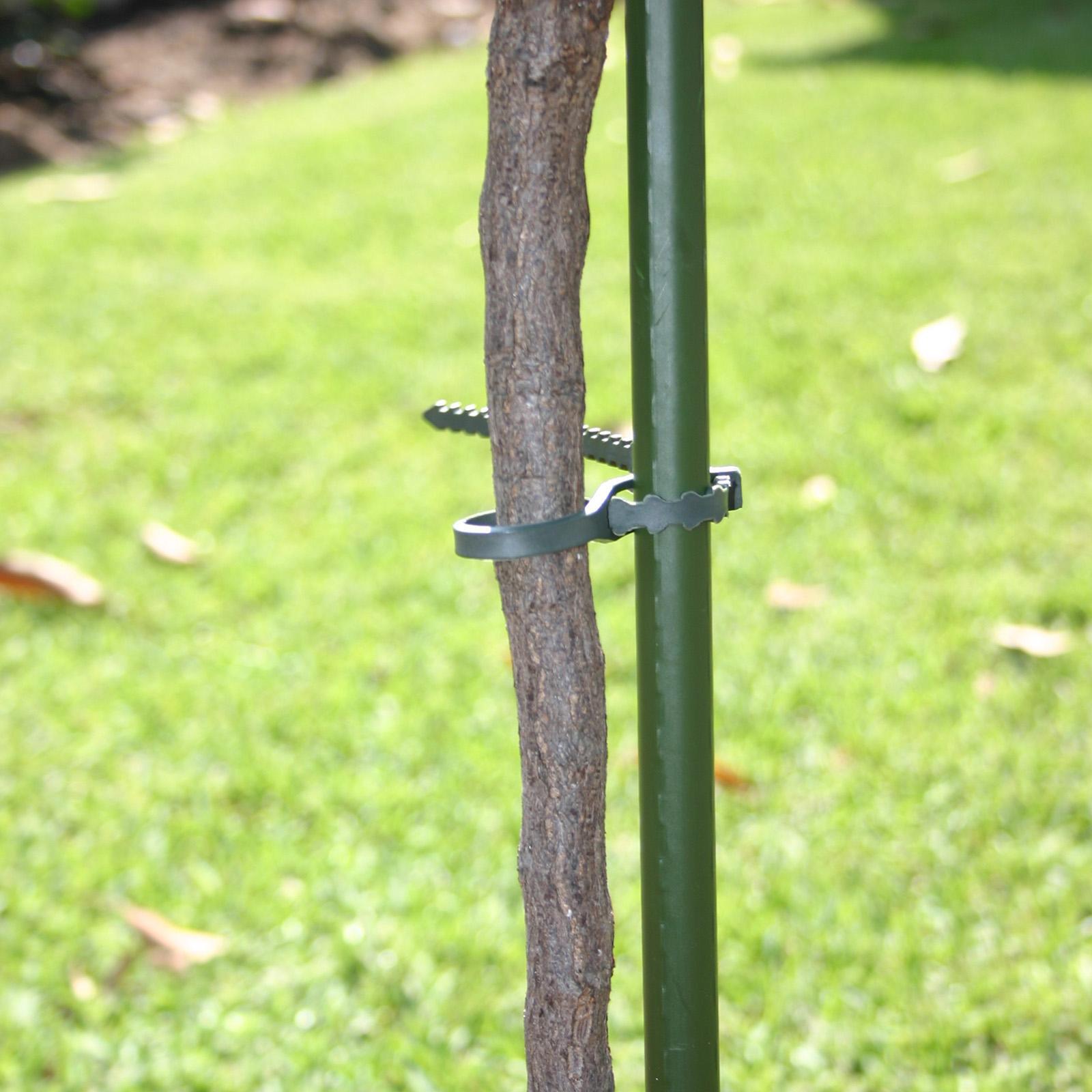 bunnings-6ab48ae6903a6