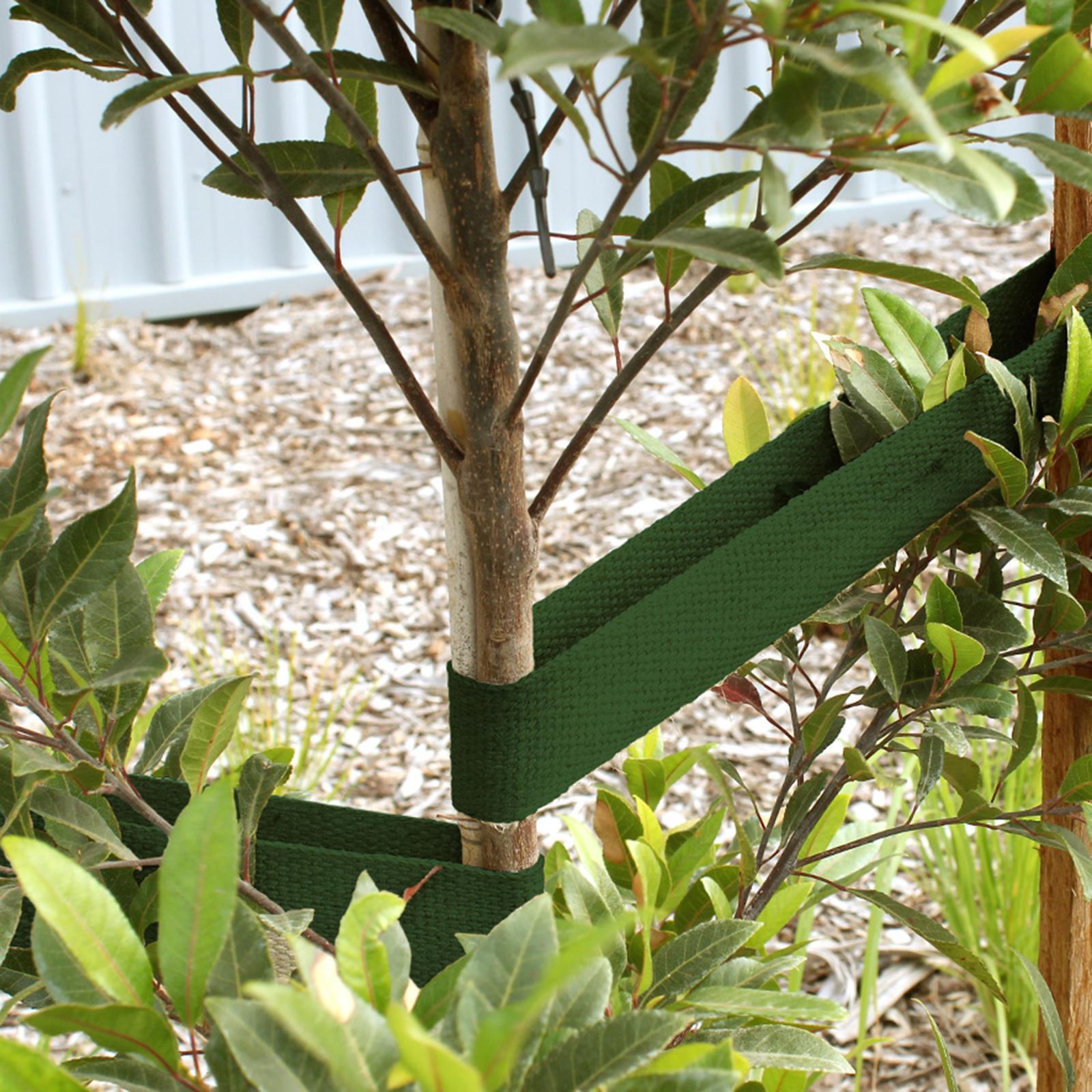 bunnings-6ab48c1da4821