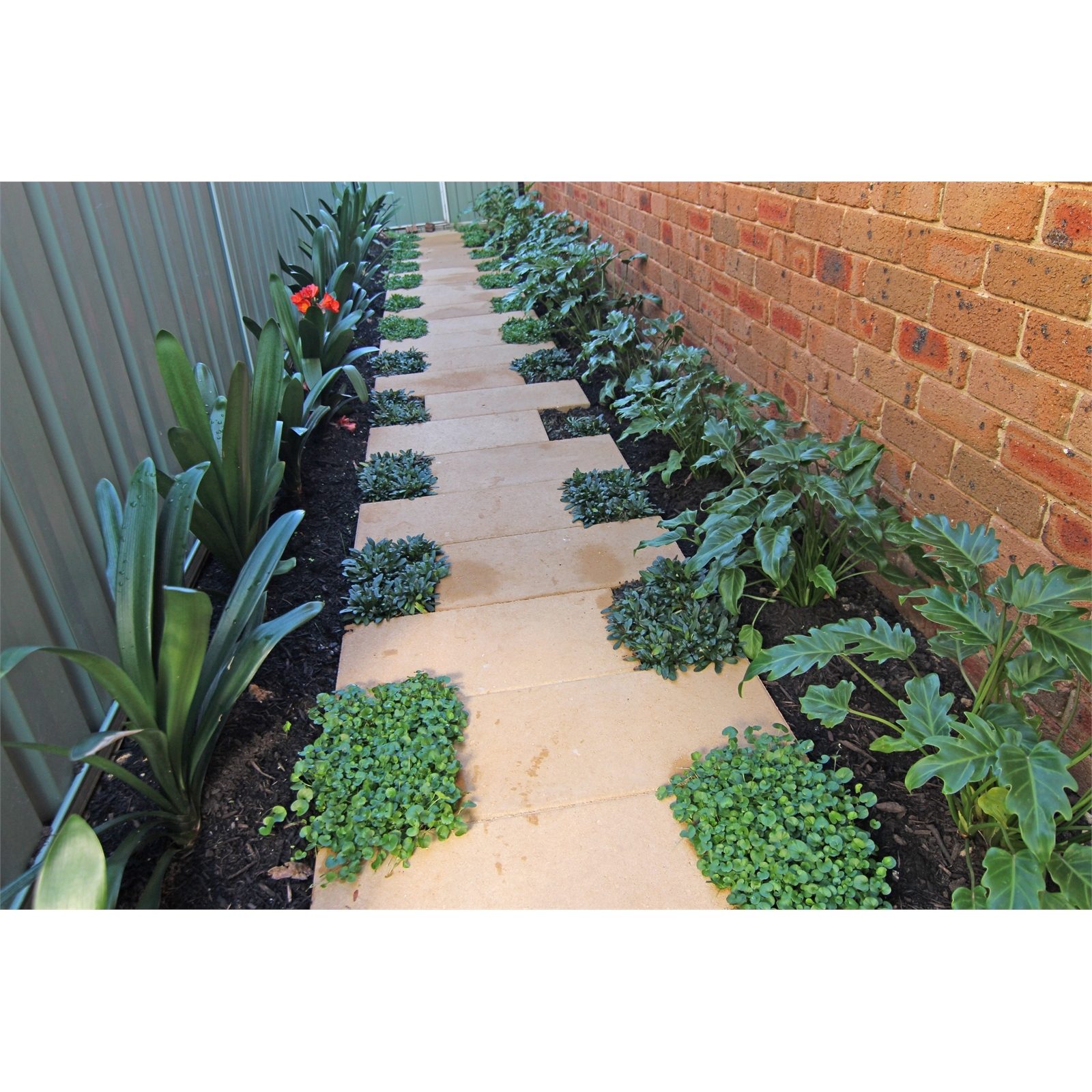 bunnings-6ab48c85d1c35