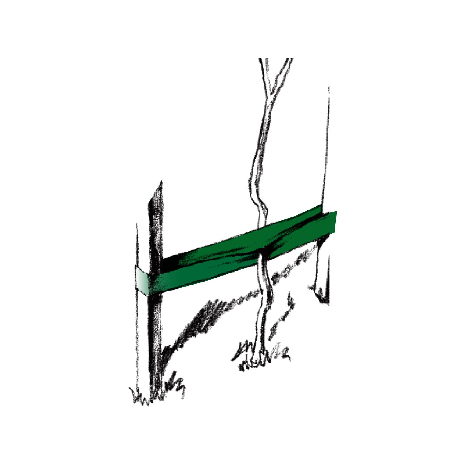 bunnings-6ab48d18726cb