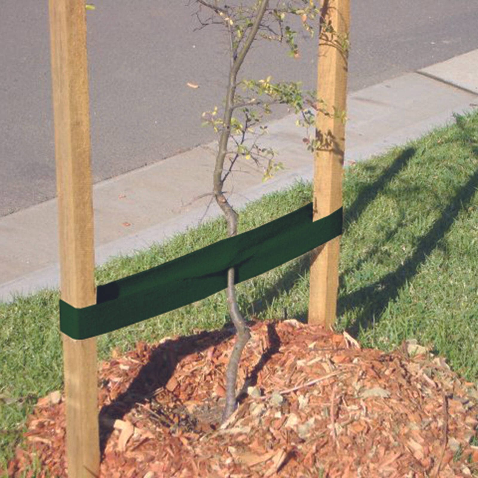 bunnings-6ab48d1a36078
