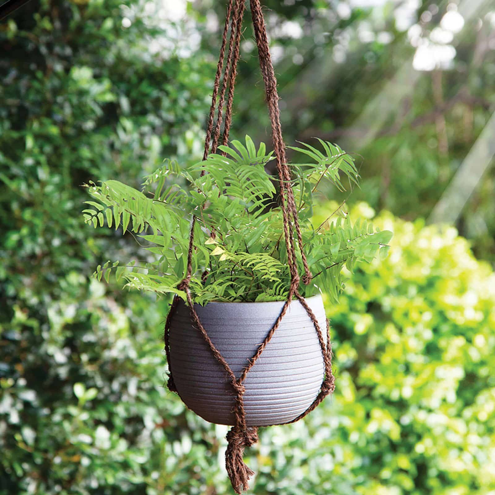 bunnings-6ab48fa8e7a7c