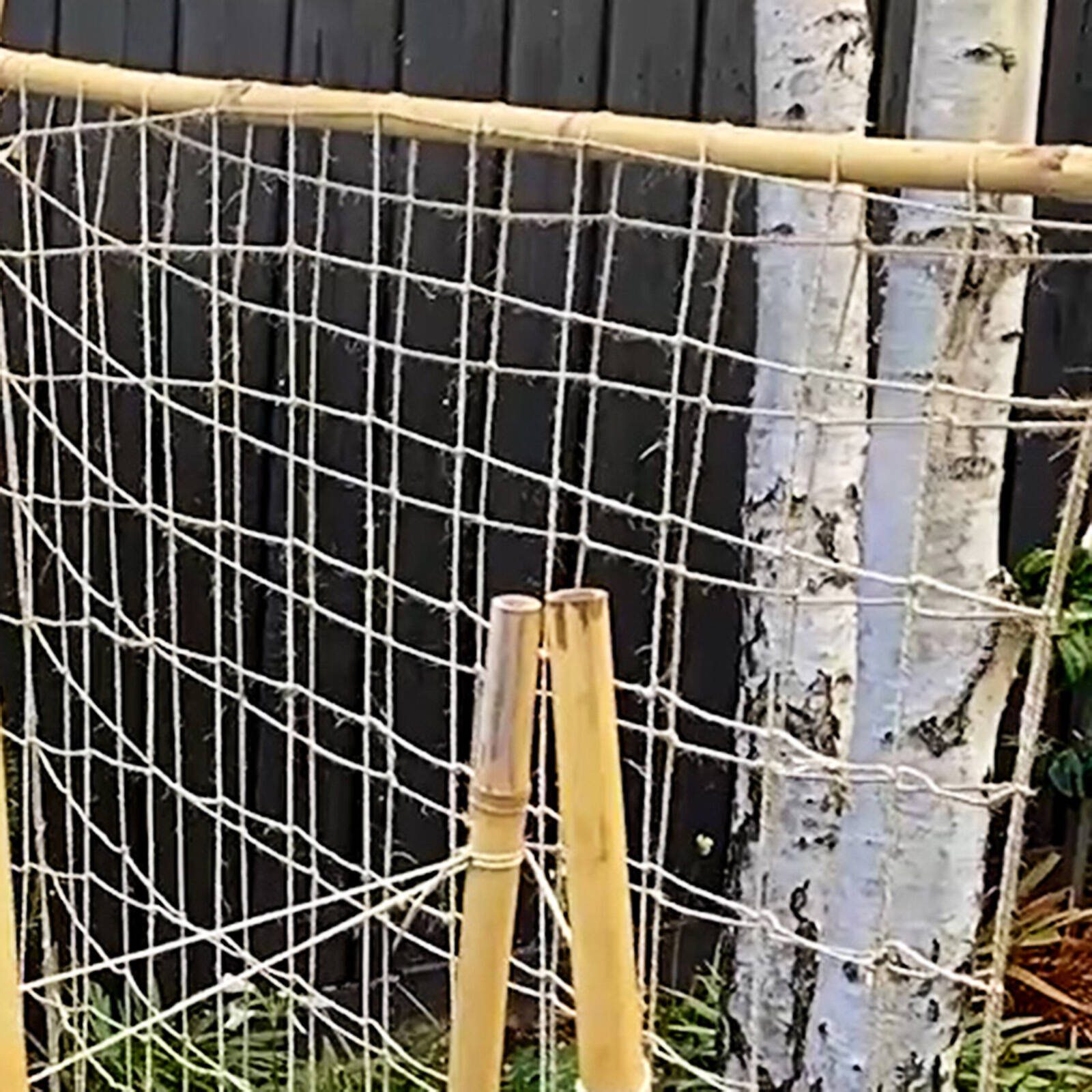 bunnings-6ab48fcb8f1dc