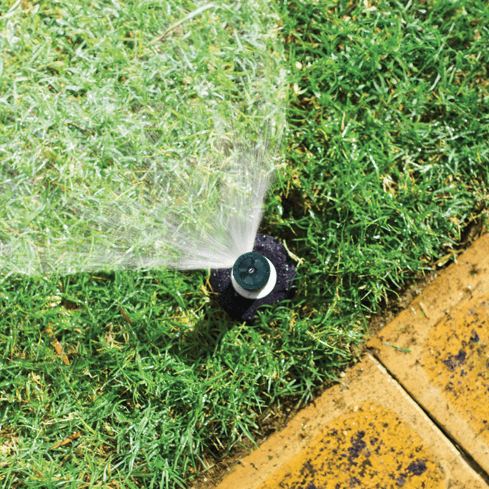 bunnings-6ab48fde44e69
