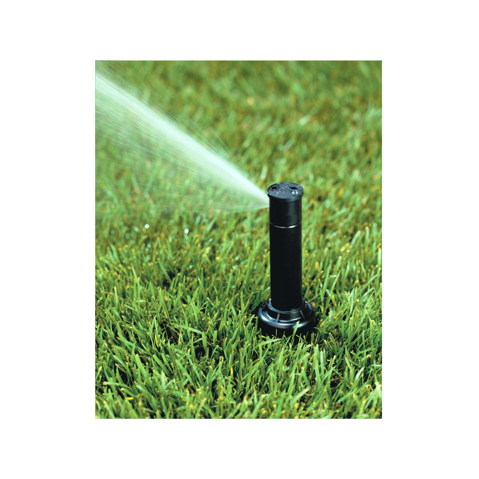 bunnings-6ab4910515acb