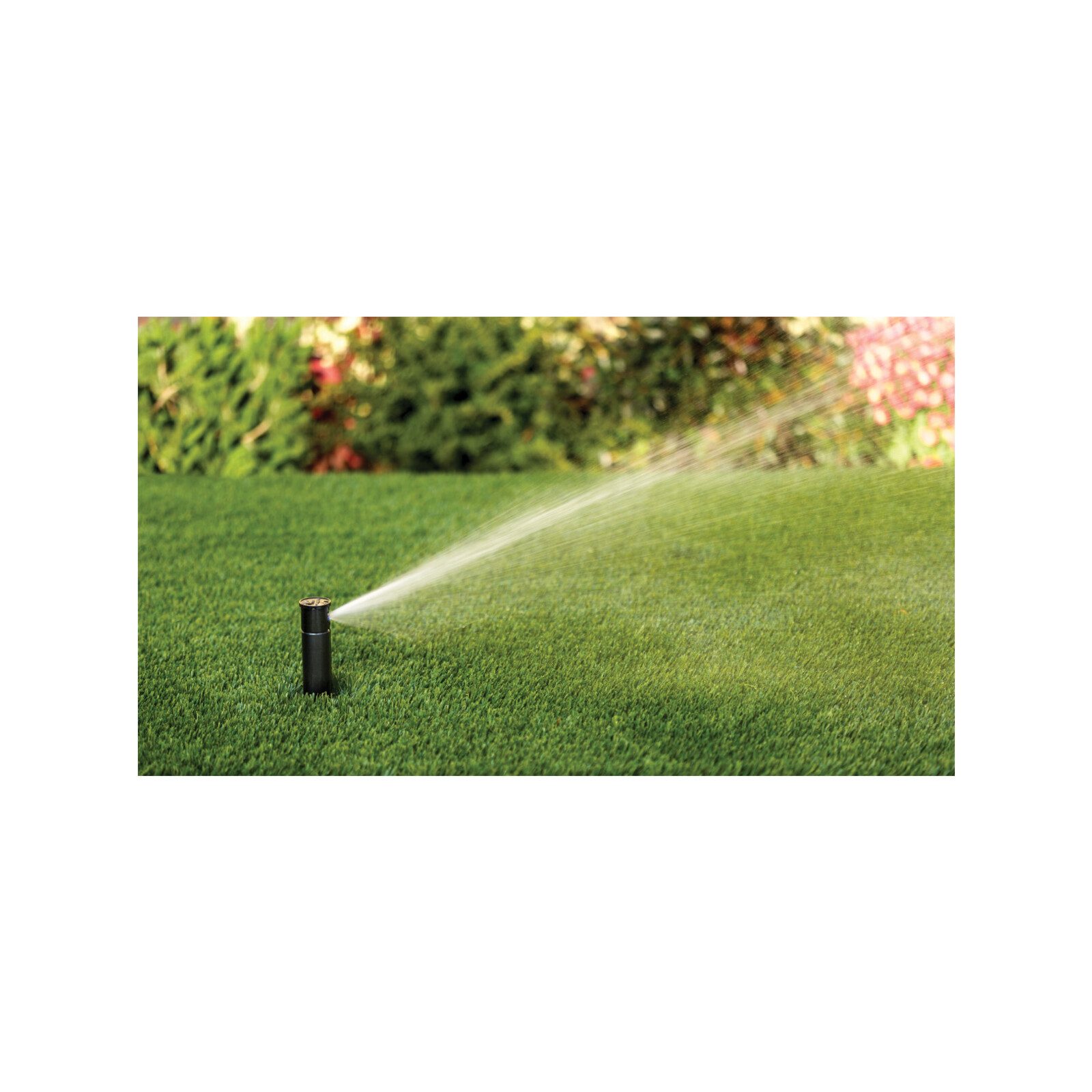 bunnings-6ab4910688085