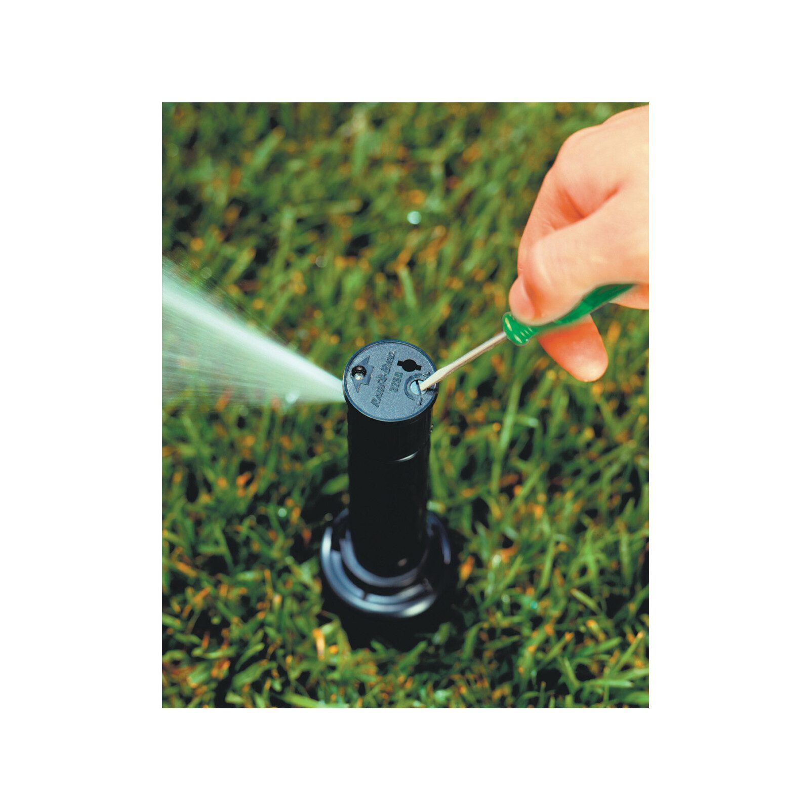 bunnings-6ab4910c3780b