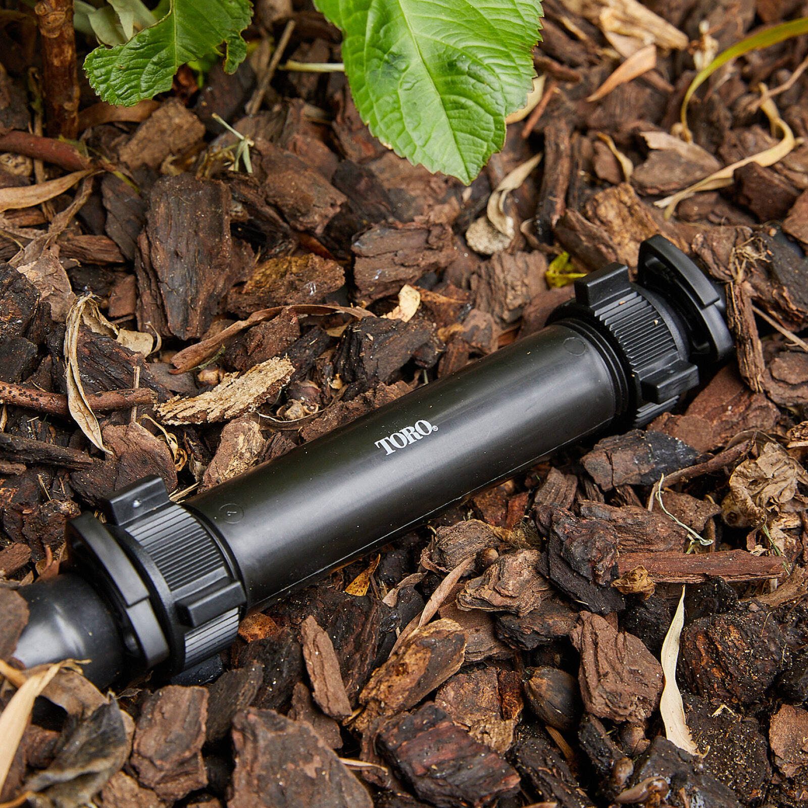 bunnings-6ab495908c180
