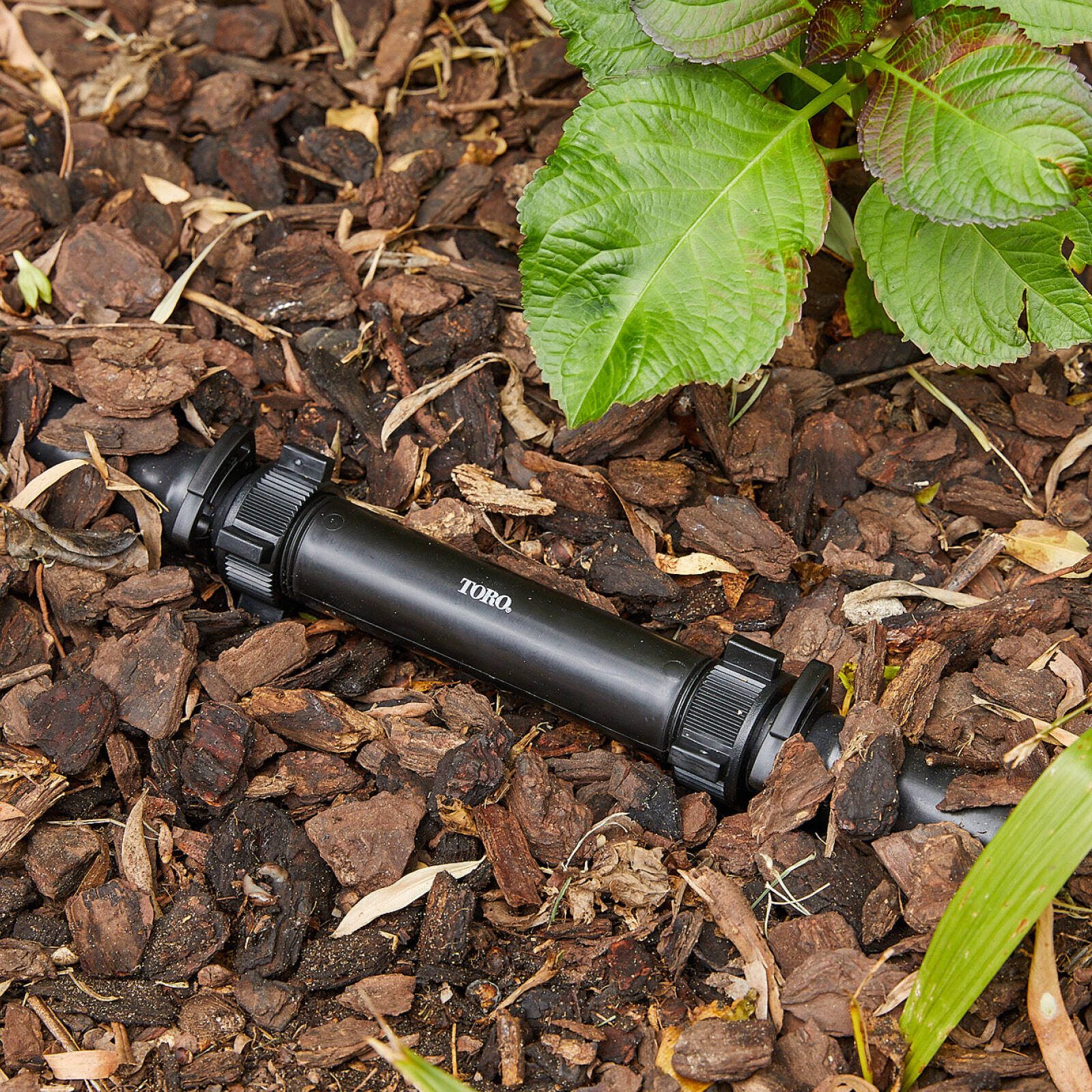 bunnings-6ab495917d55e