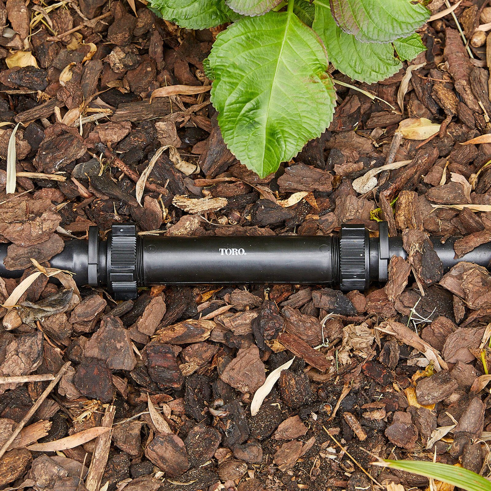 bunnings-6ab495929af68