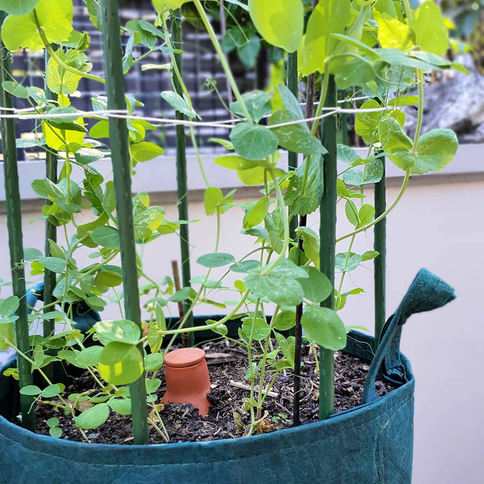 bunnings-6ab49956935be