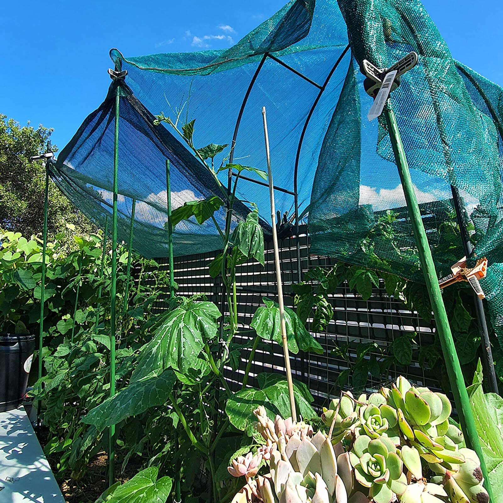 bunnings-6ab49958ba67b