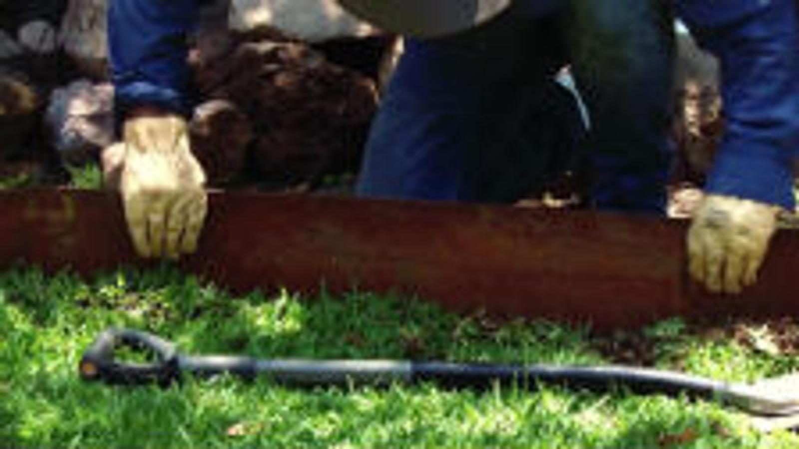 bunnings-6ab49bc2122a5