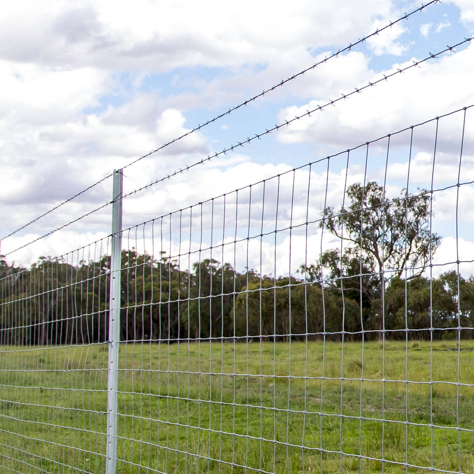bunnings-6ab49ff7a4f6b