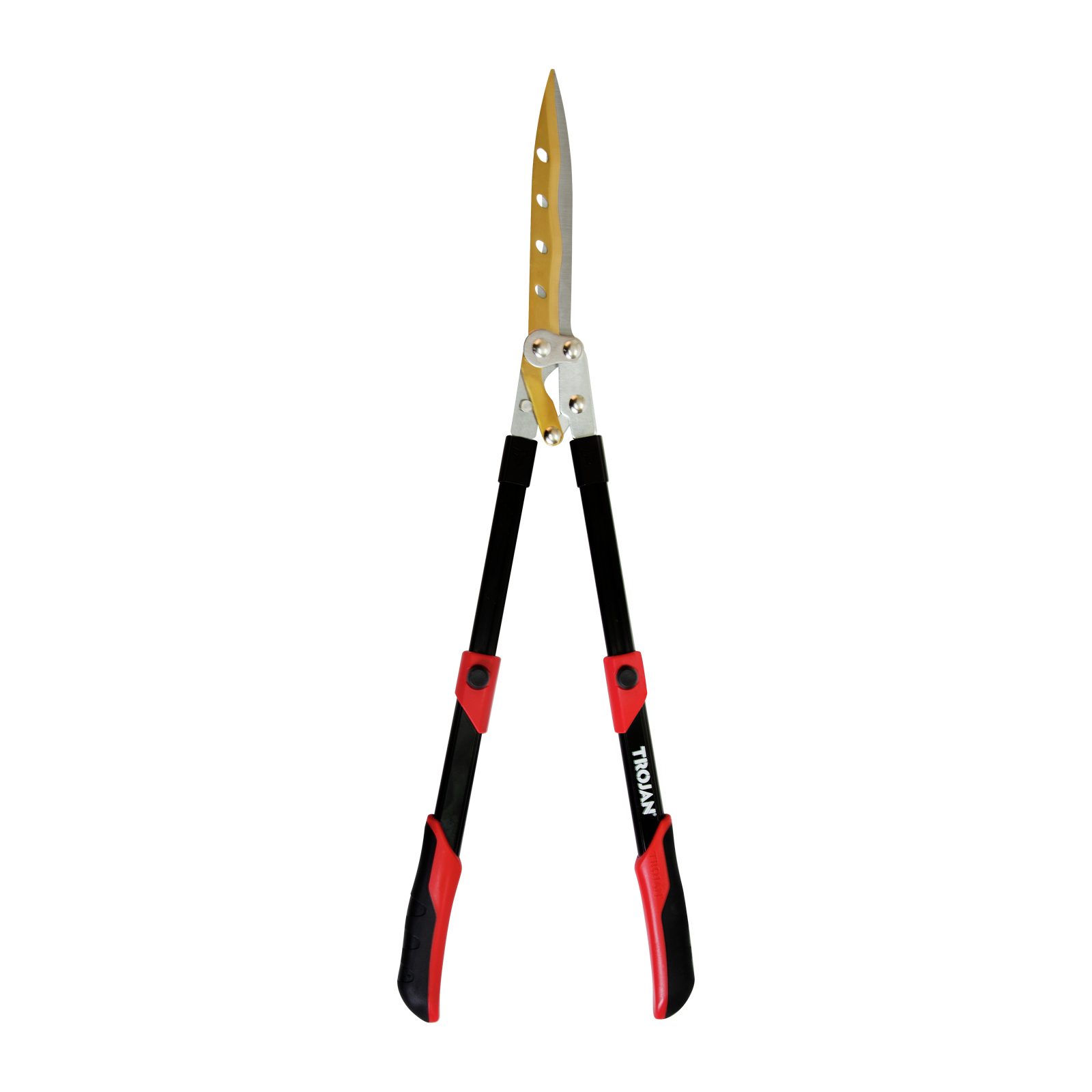 bunnings-6ab4a2ac30166