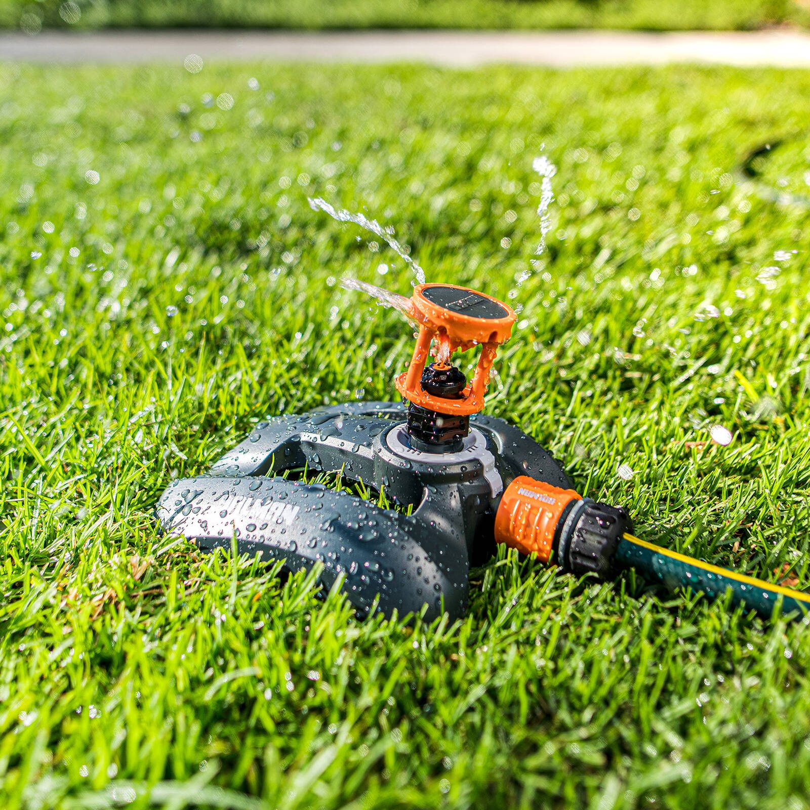 bunnings-6ab4a47f1352c