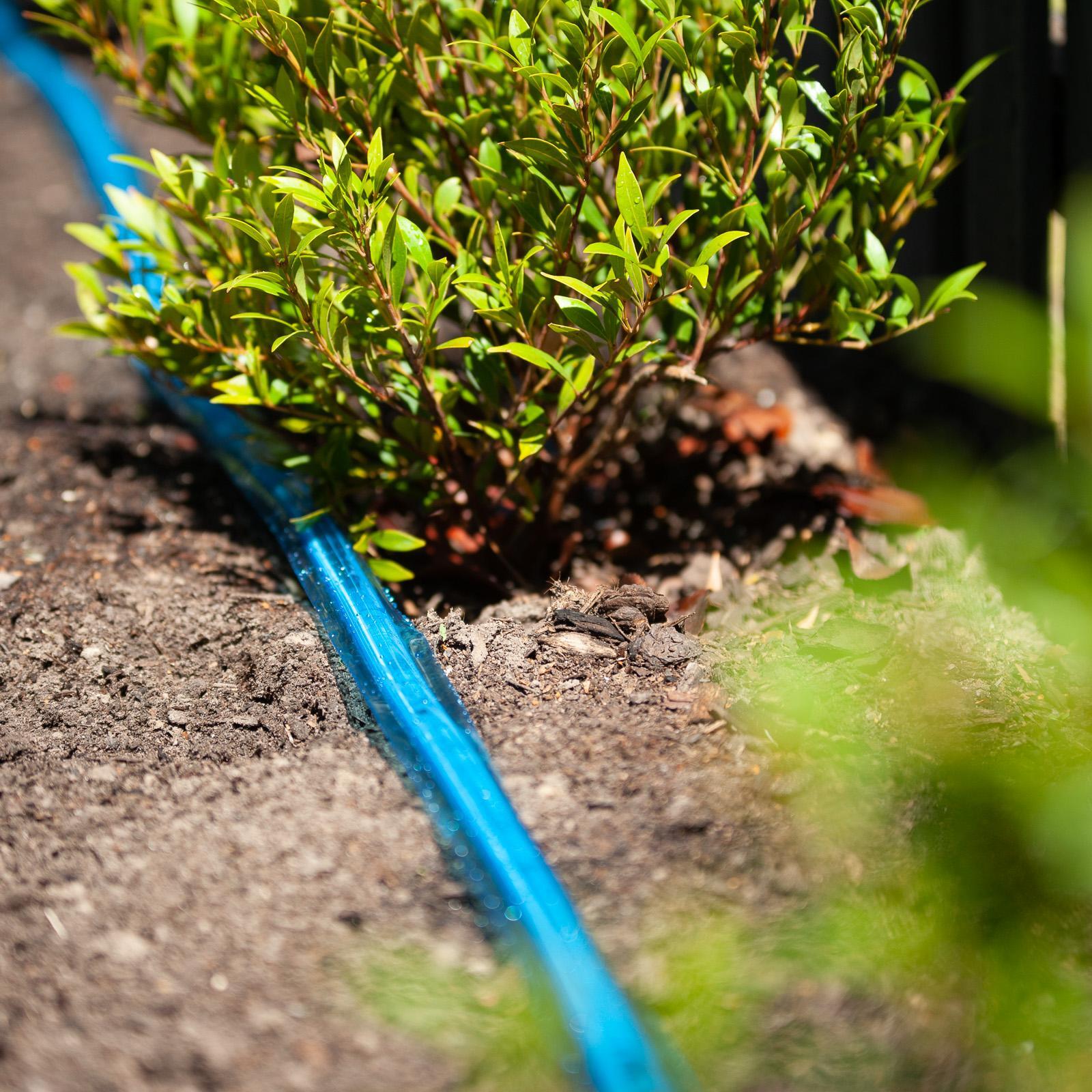 bunnings-6ab4c021784f3