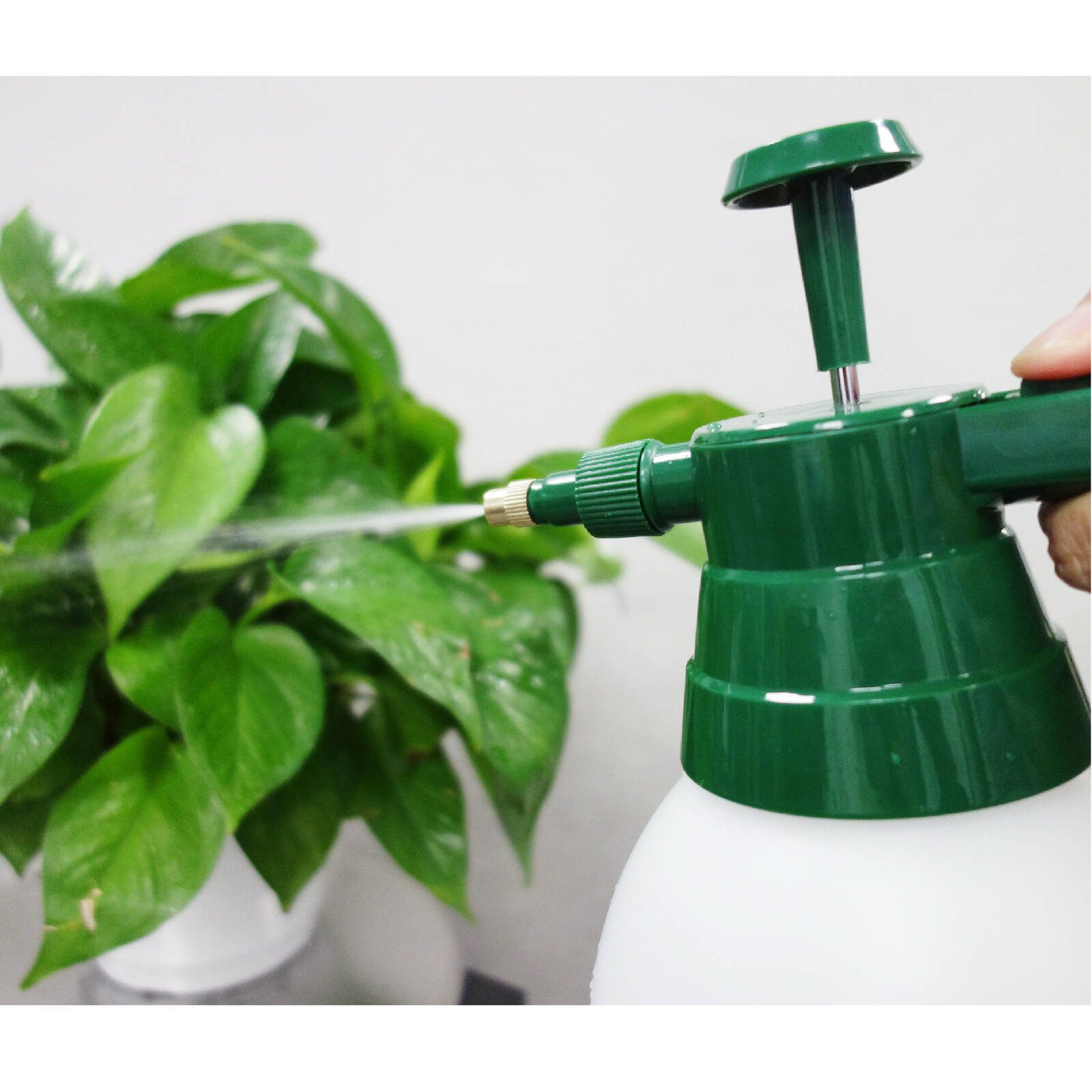 bunnings-6ab4c092664ea