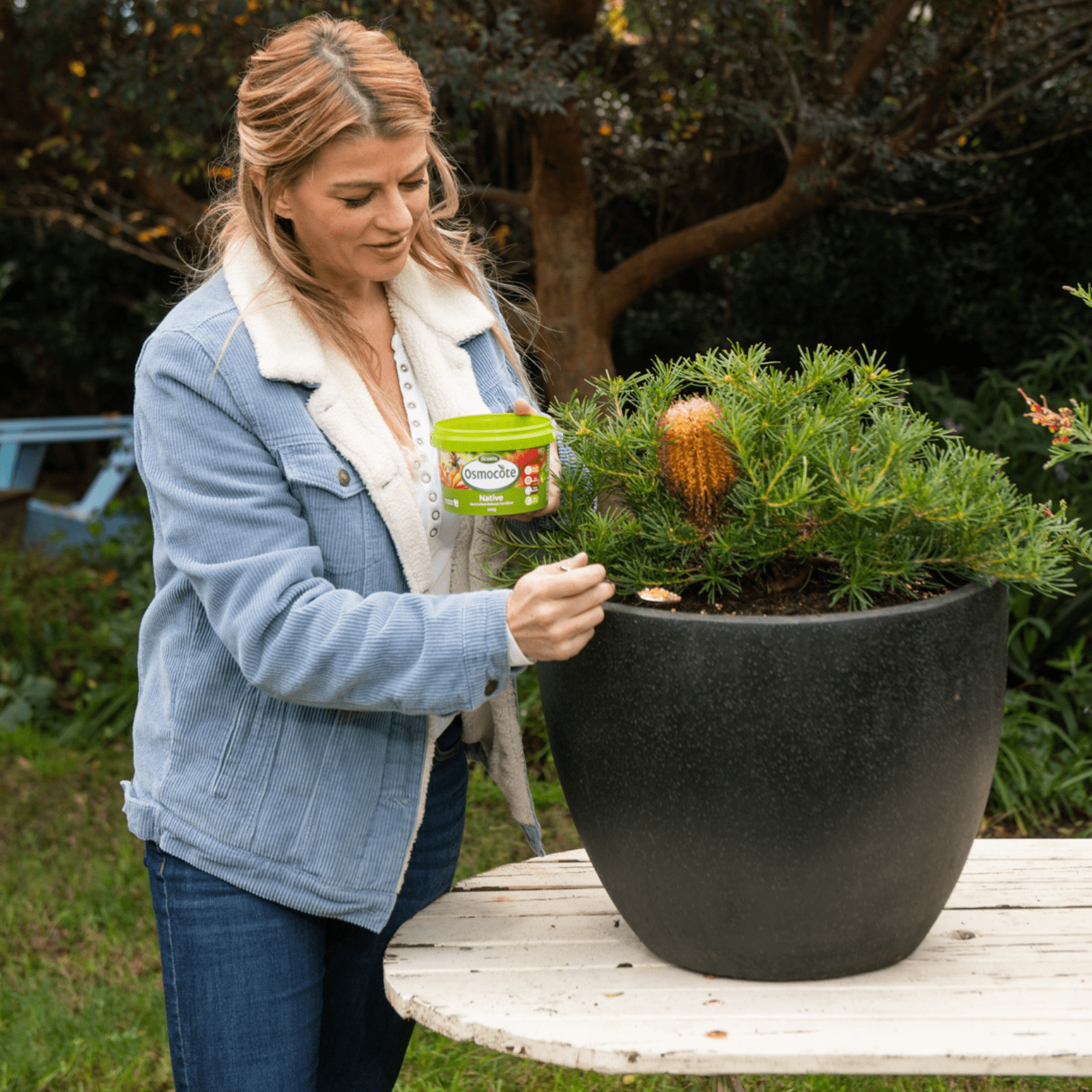 bunnings-6ab4c3e50f67a
