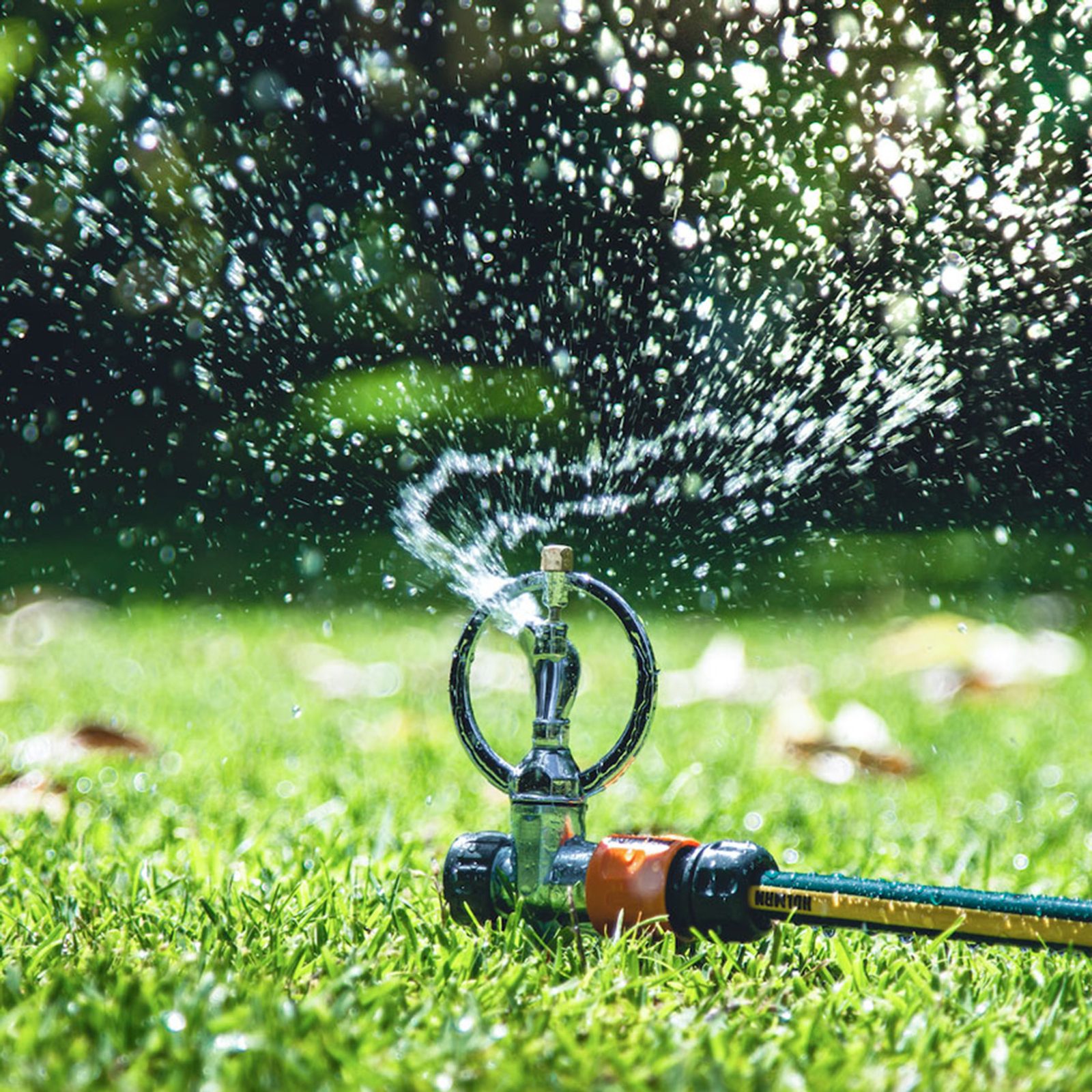 bunnings-6ab4d16a7fc20