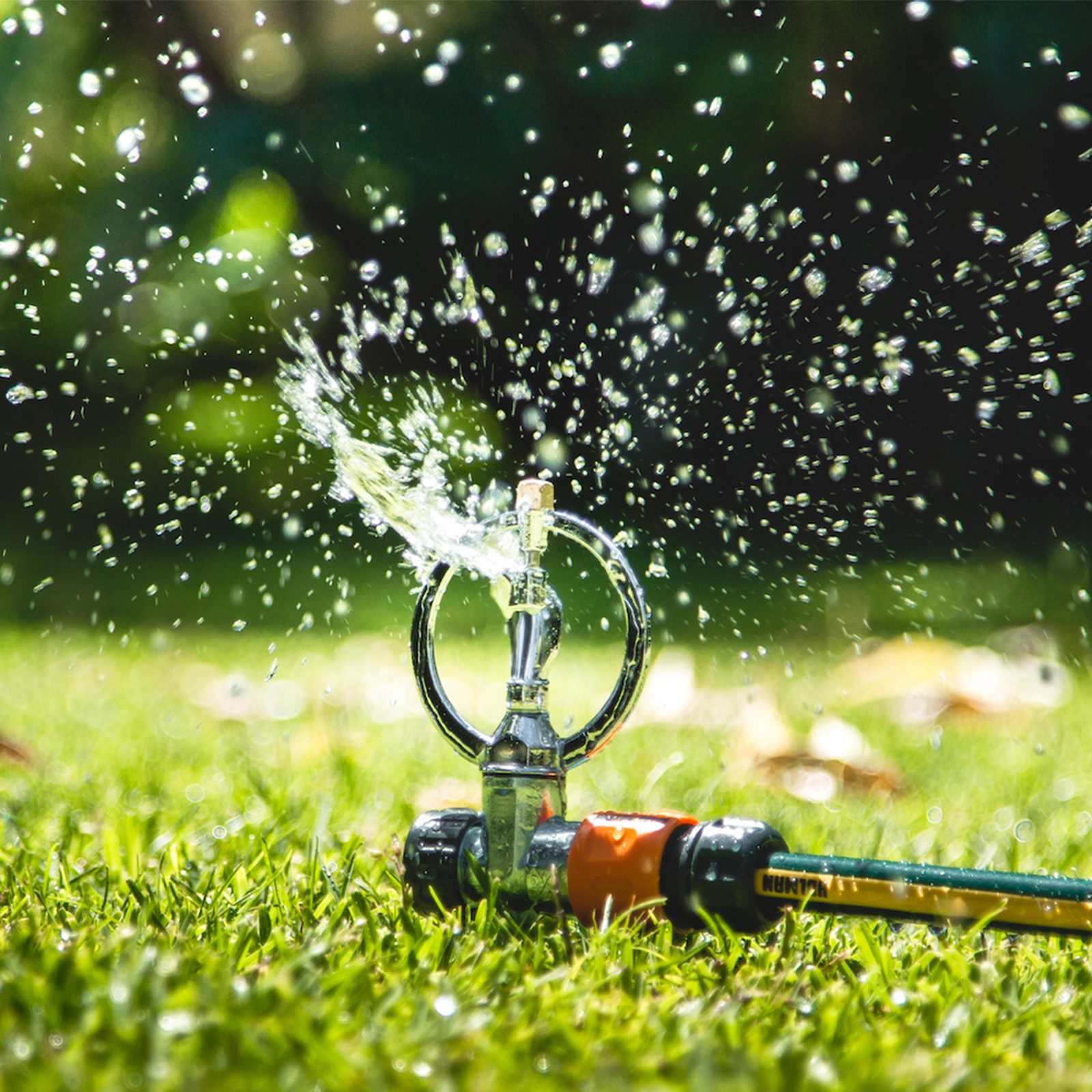 bunnings-6ab4d16bf294d