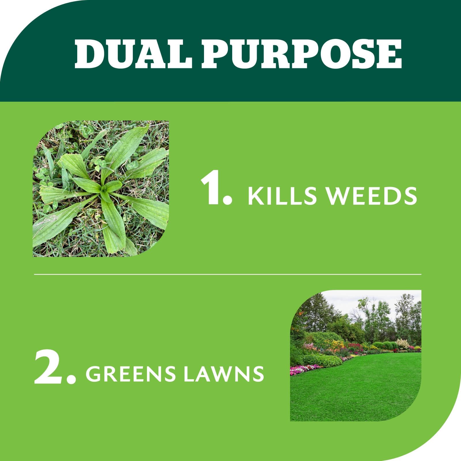 bunnings-6ab4d3ab6c240