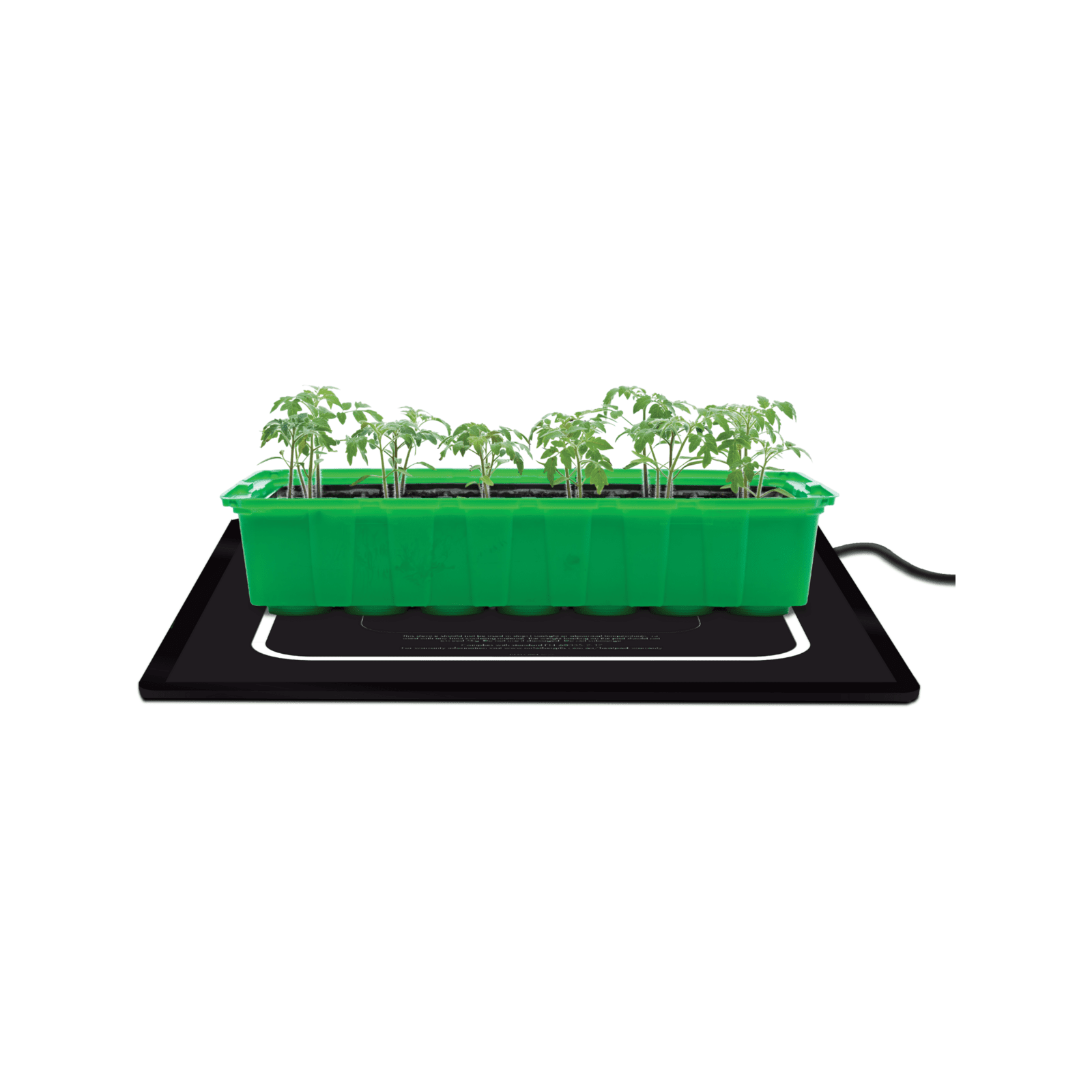 bunnings-6ab4d515c16cd