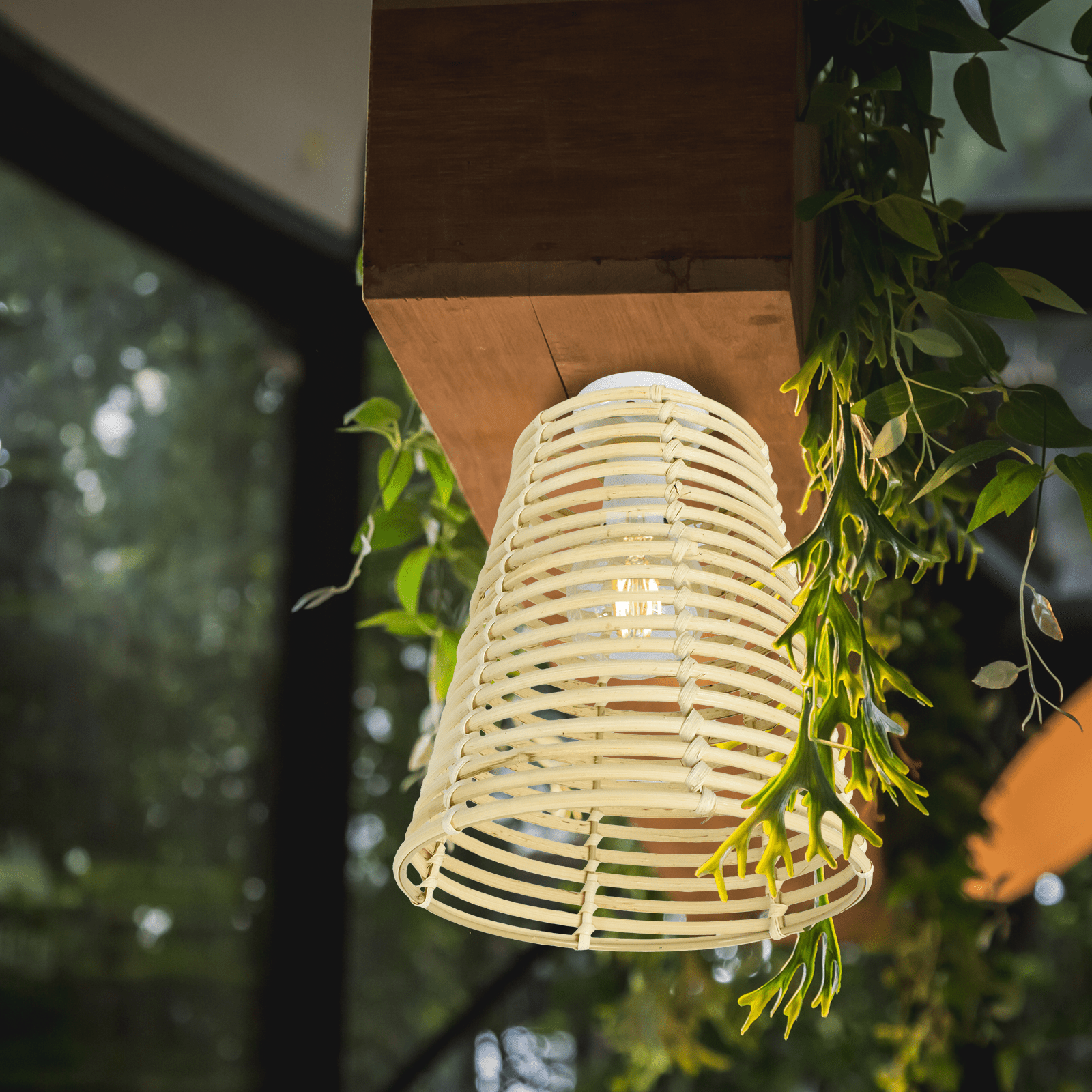 bunnings-6ab4f07661cad