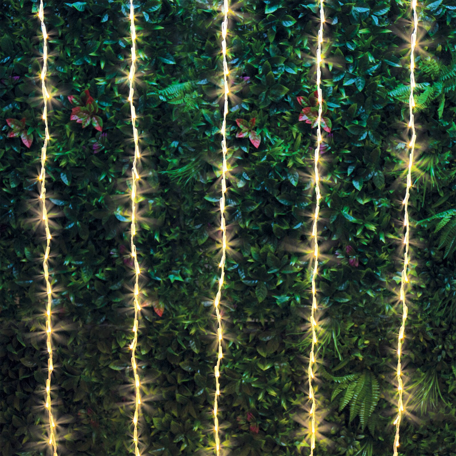 bunnings-6ab4f2301d959