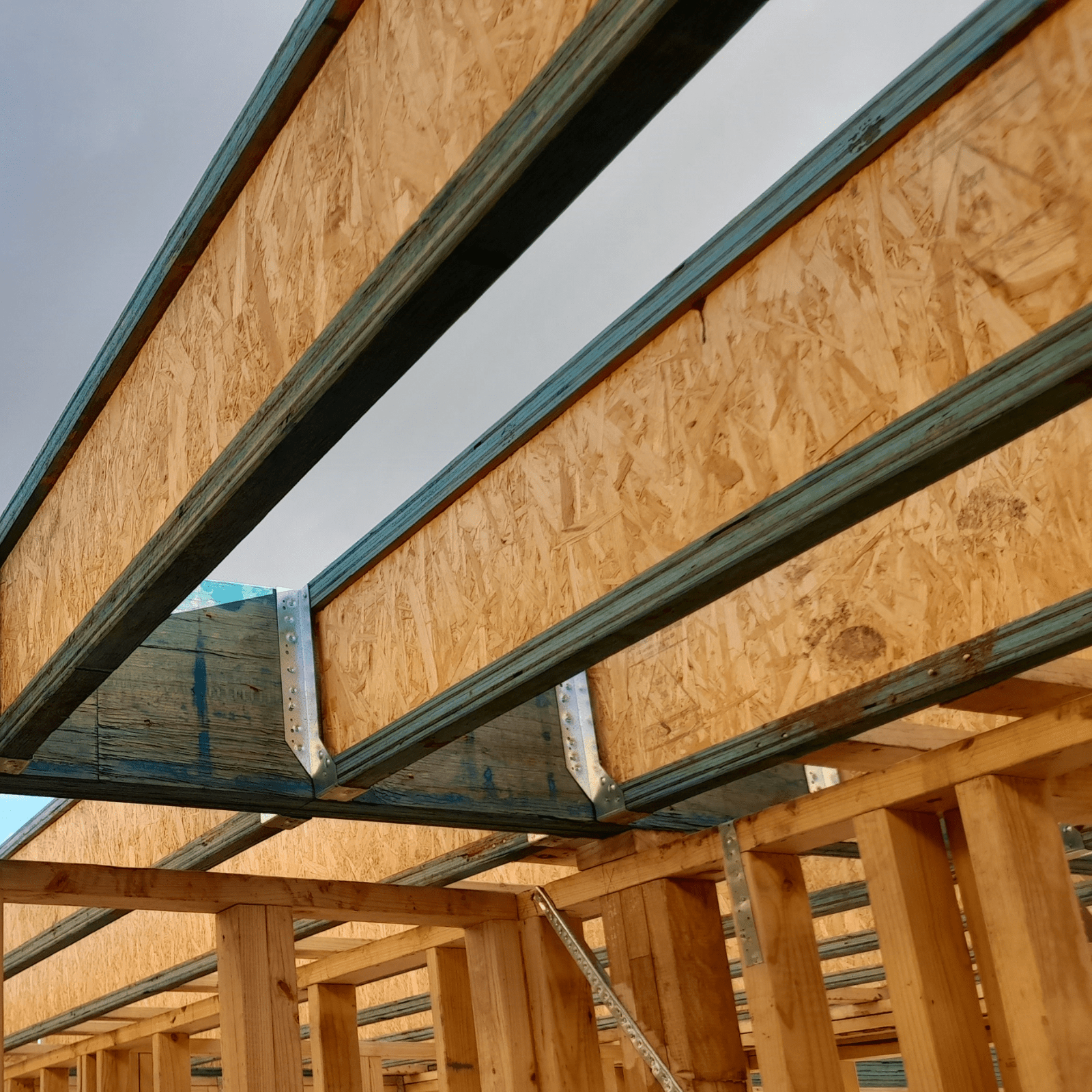 bunnings-6ab4f42174b71