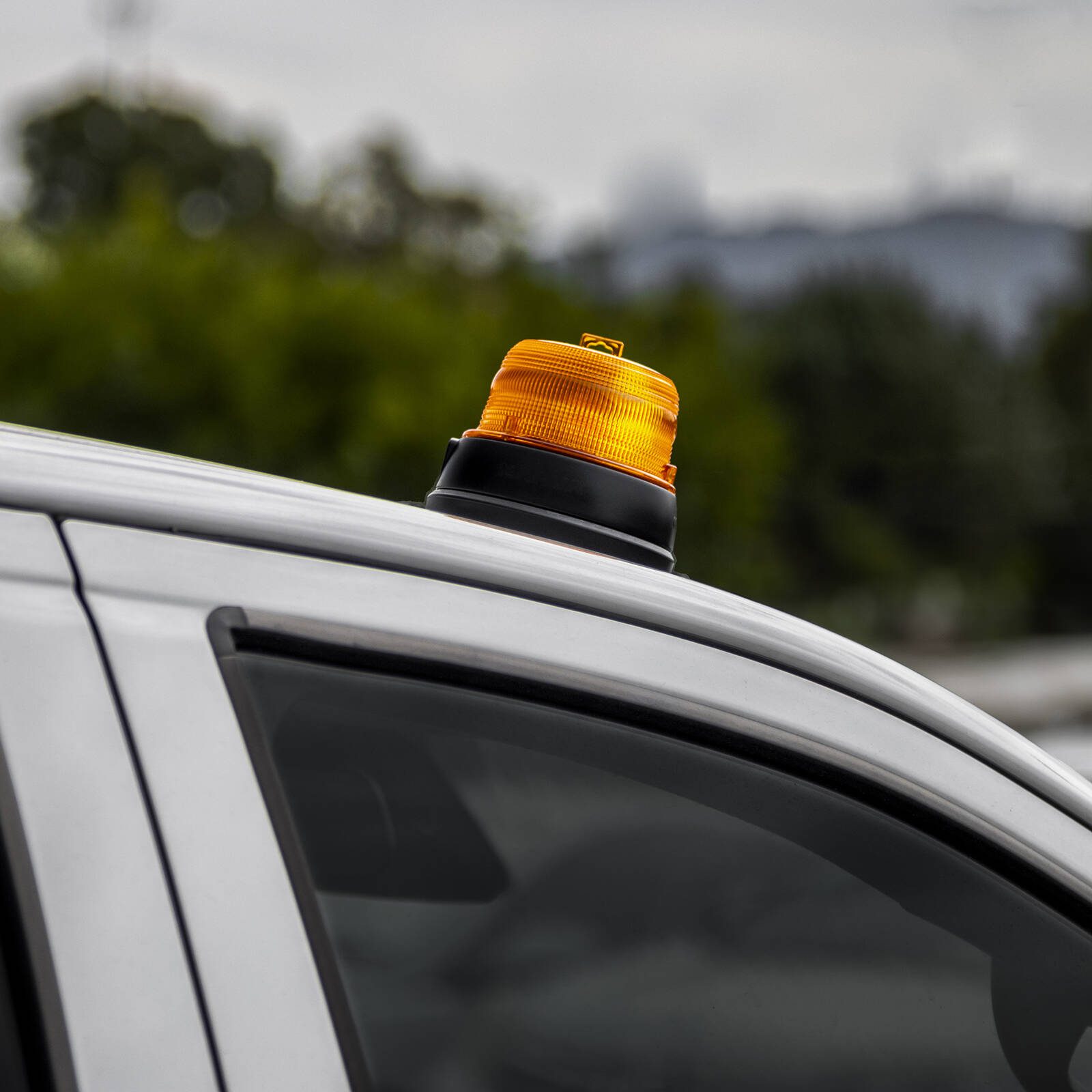 bunnings-6ab513c6bdfda