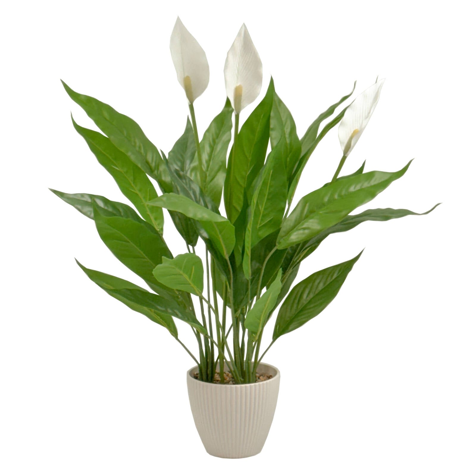 bunnings-6ab7c8ea6a91c