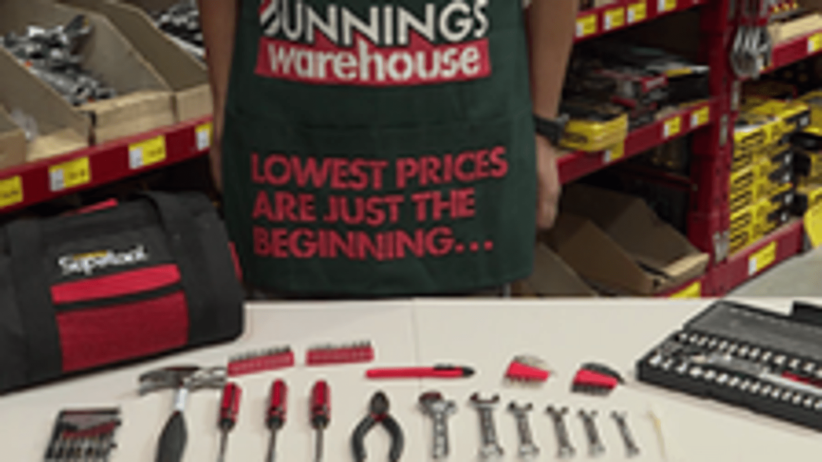bunnings-6aba2d09887cf