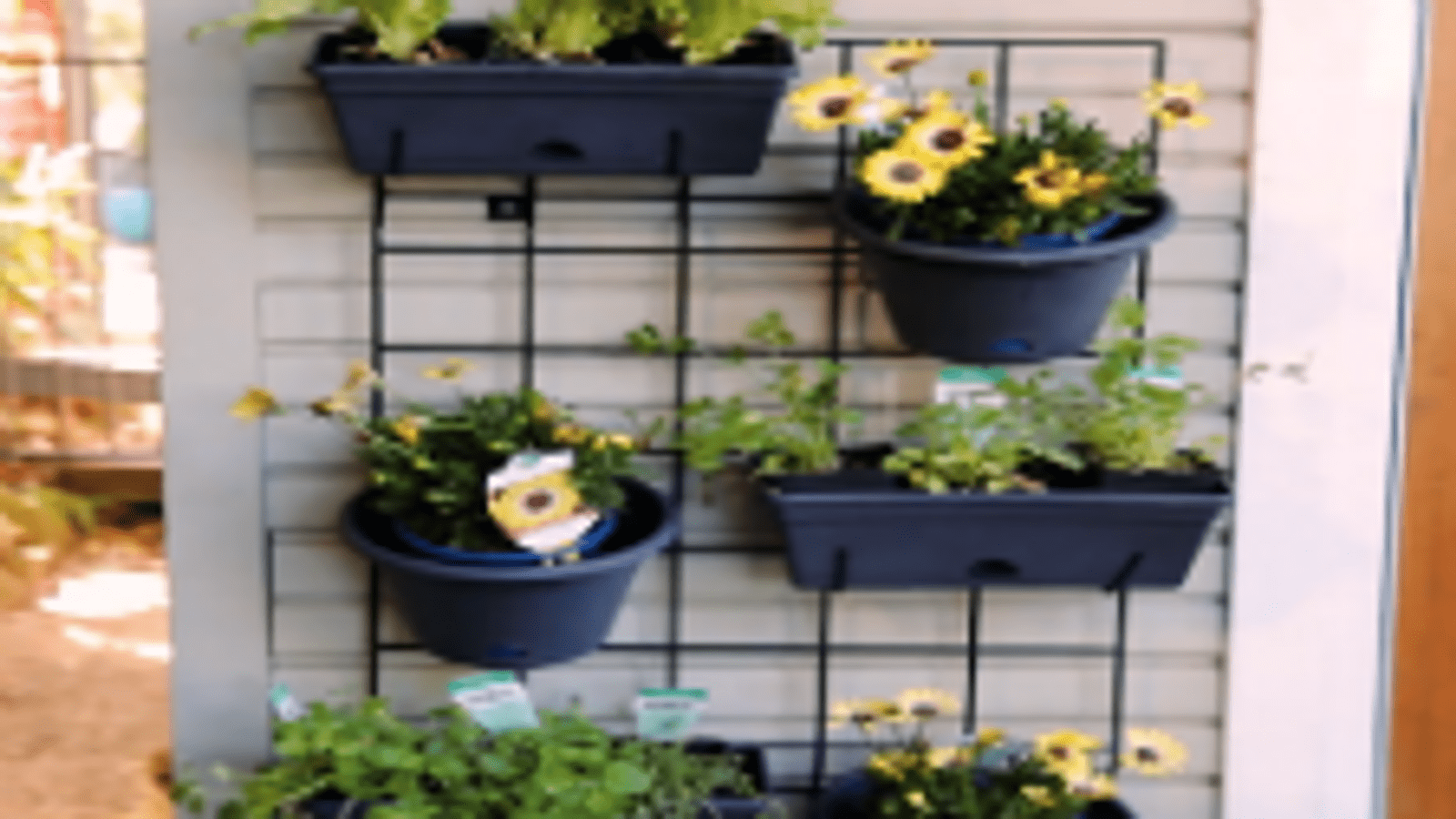 bunnings-6abb099544afb