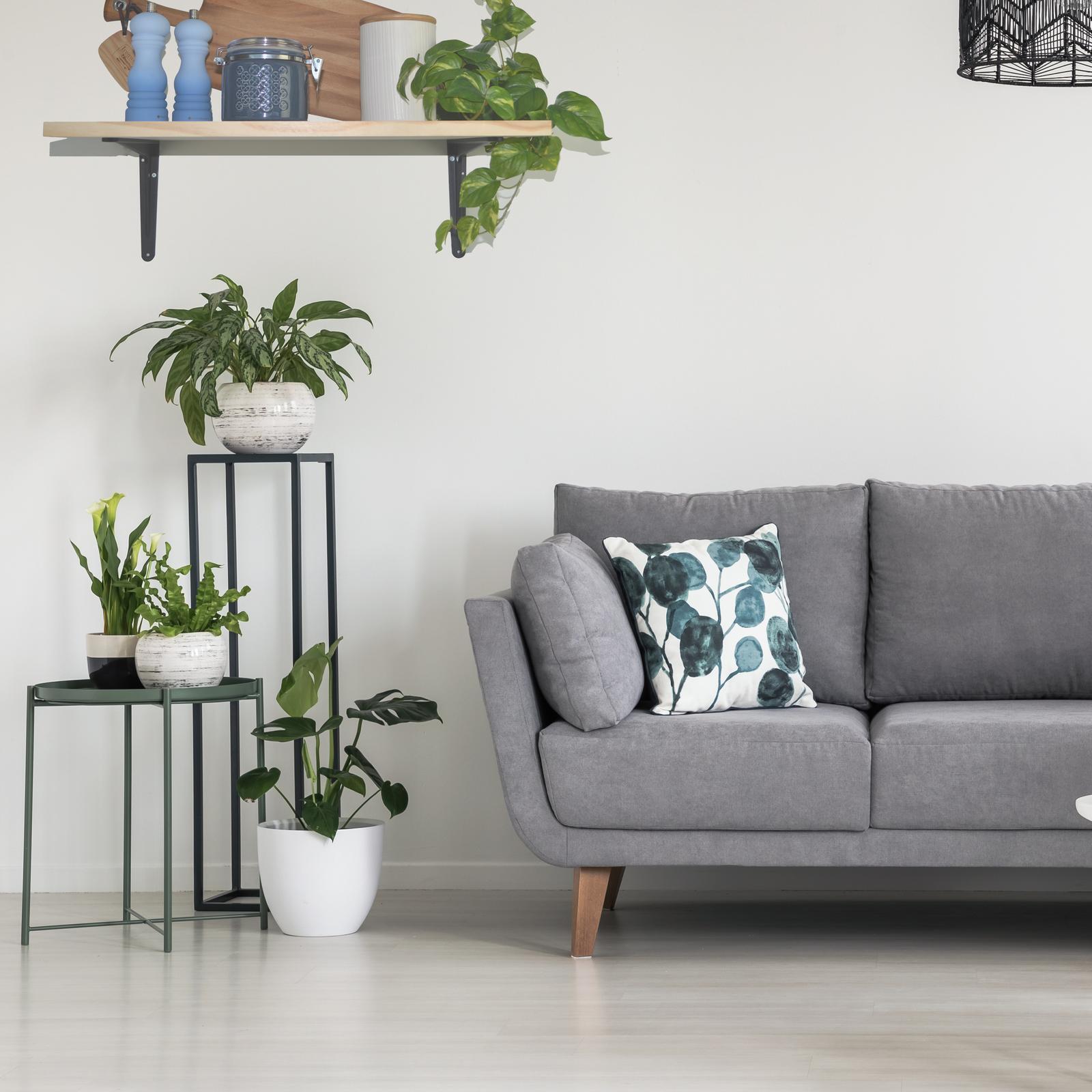 bunnings-6abdf367062d6