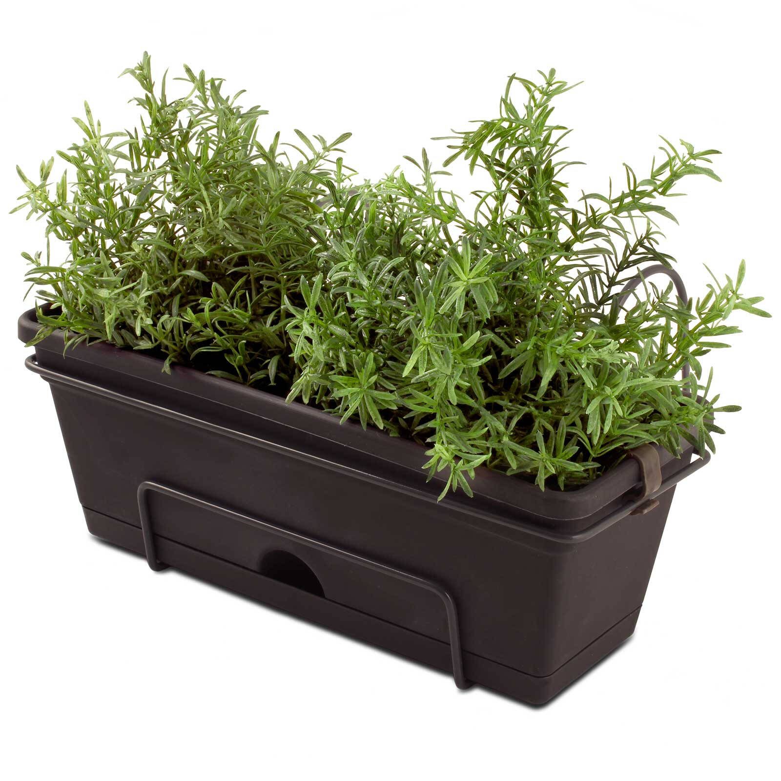 bunnings-6abe20e5690e6