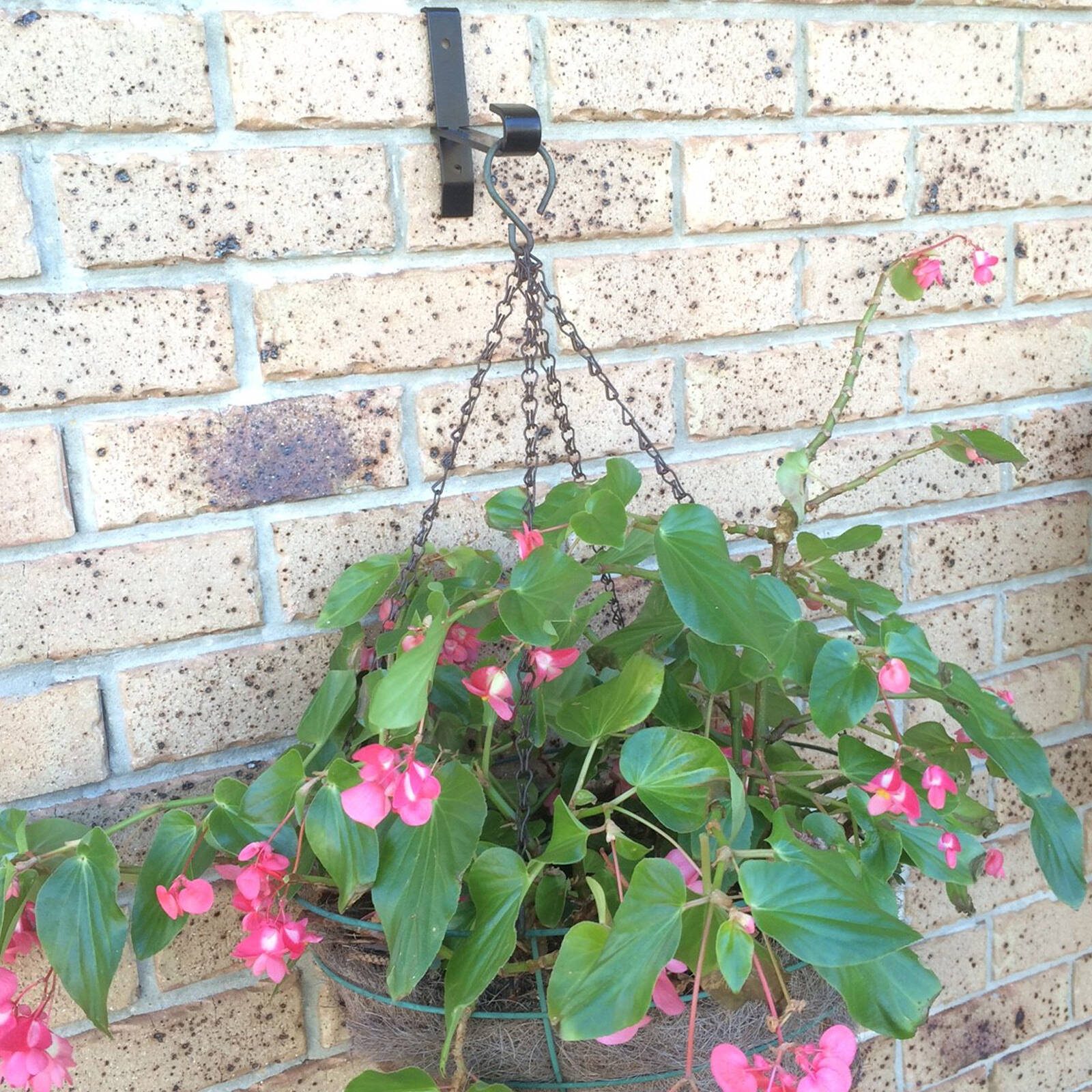 bunnings-6abe235546cf8