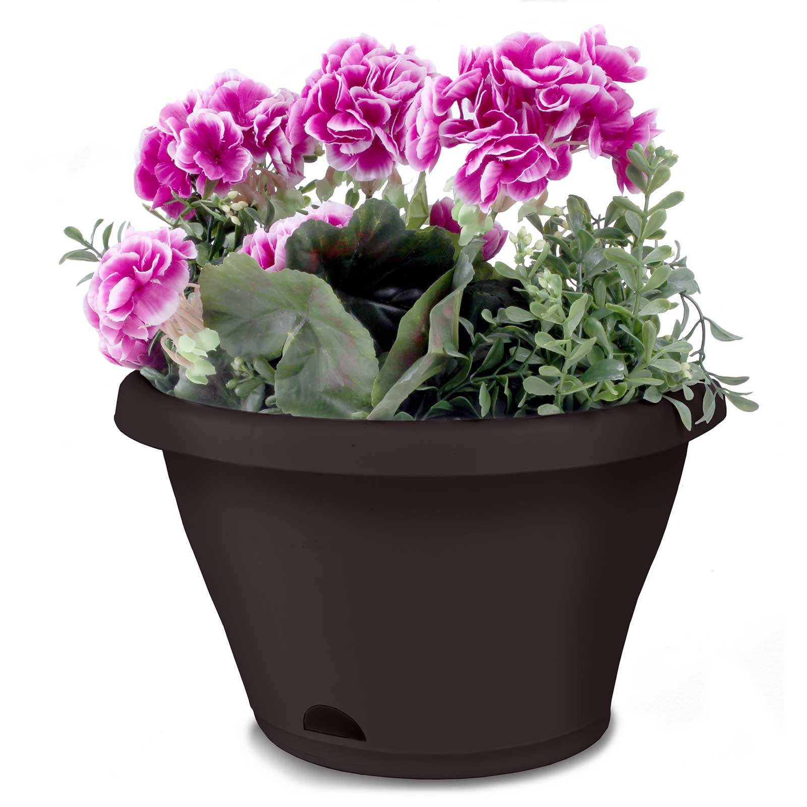 bunnings-6ac417bf4eb6d