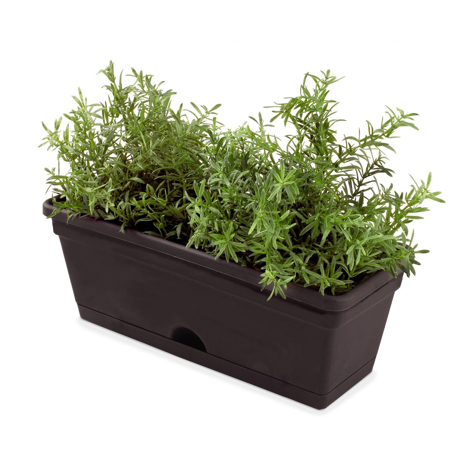 bunnings-6ac417ebe0b32